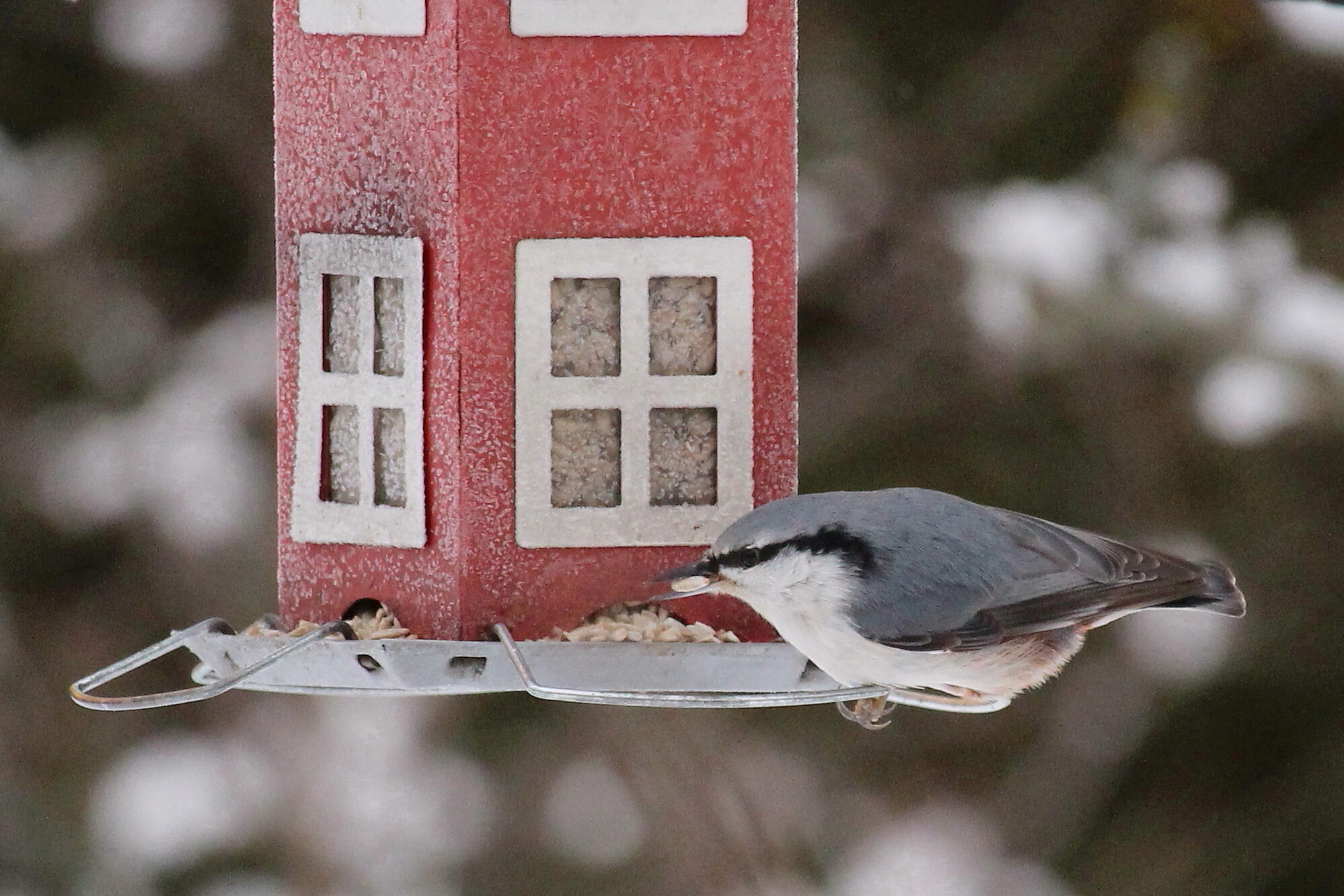 Valokuvaaja: Kirsi-Marja Joenpolvi