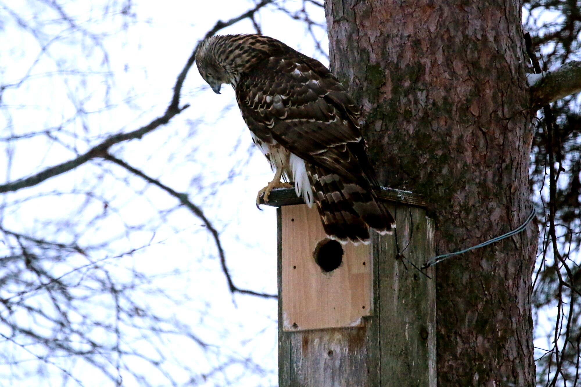 Valokuvaaja: Antero Tykkyläinen