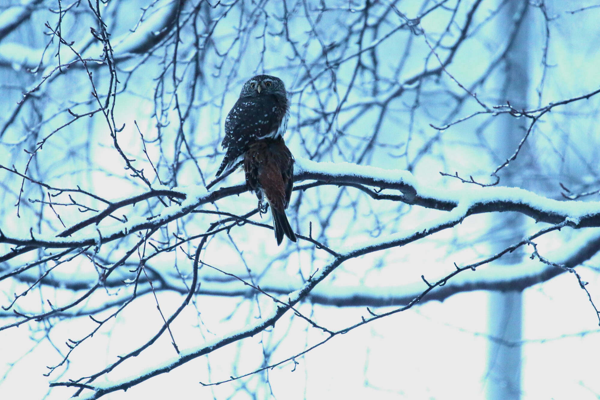 Valokuvaaja: Antero Tykkyläinen