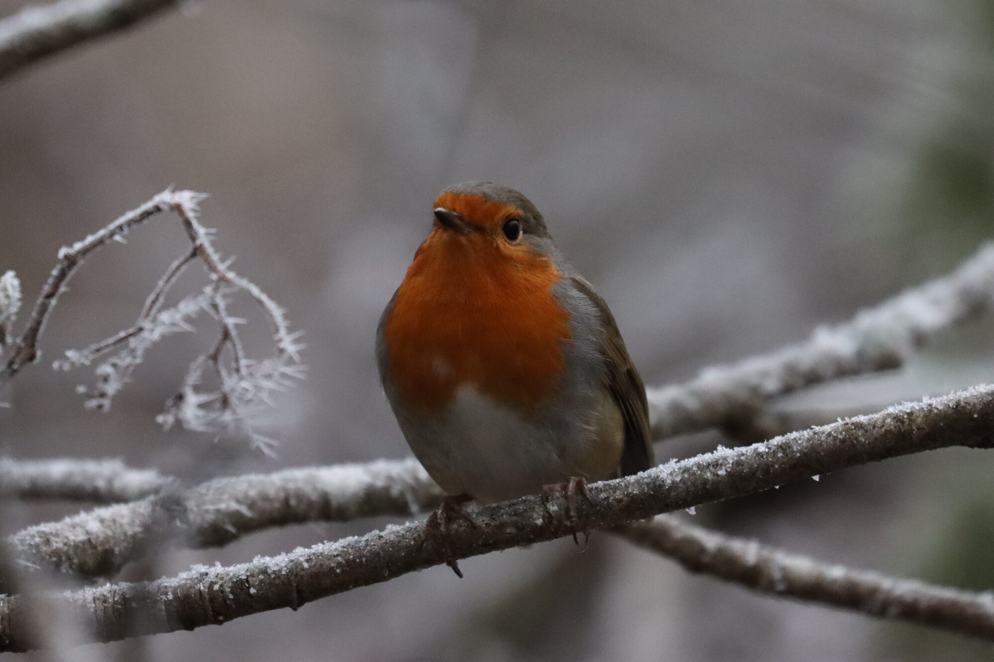 Valokuvaaja: Susanna Hannula Valokuvaaja: Susanna Hannula