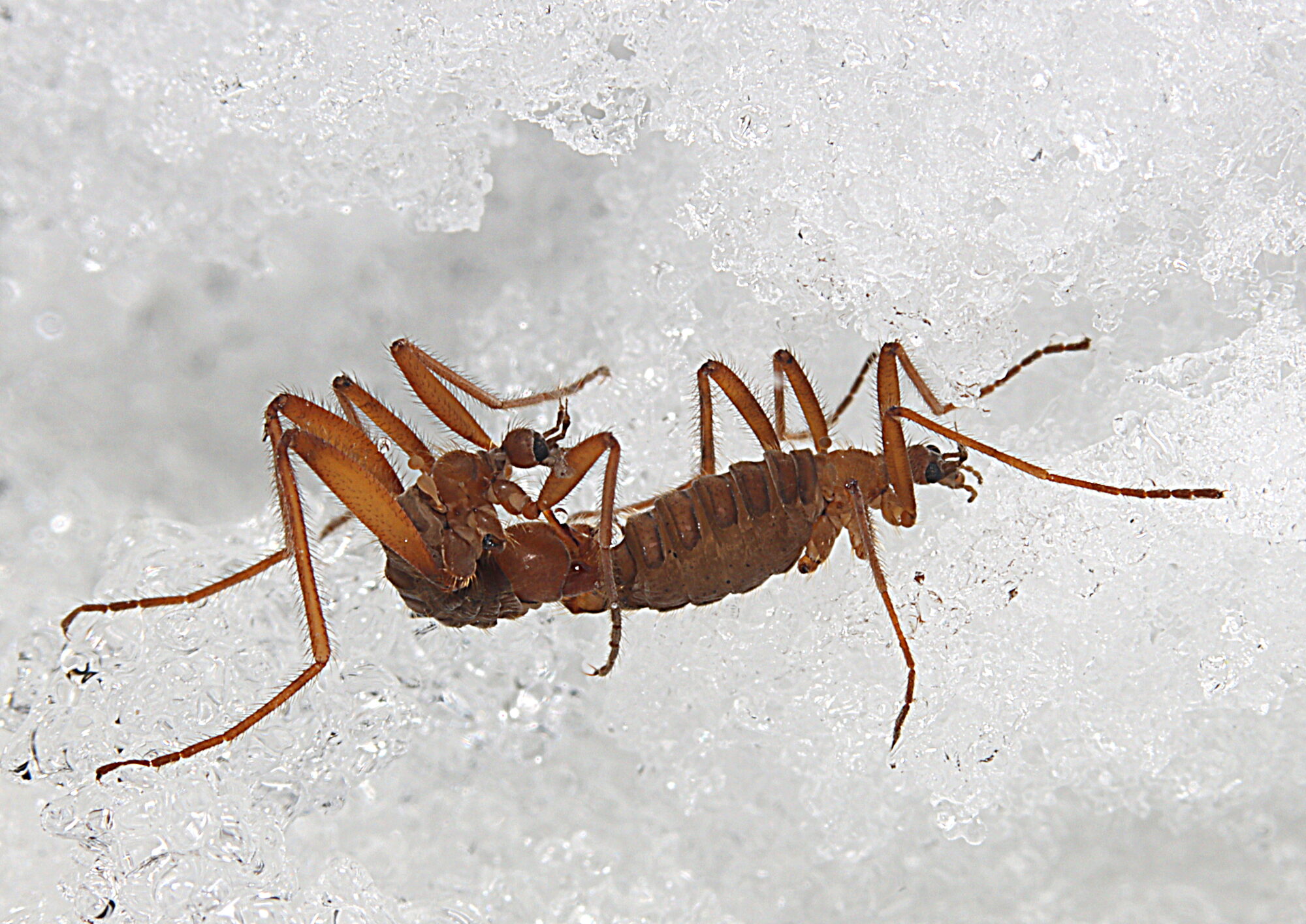 Valokuvaaja: Hannu Rasiranta