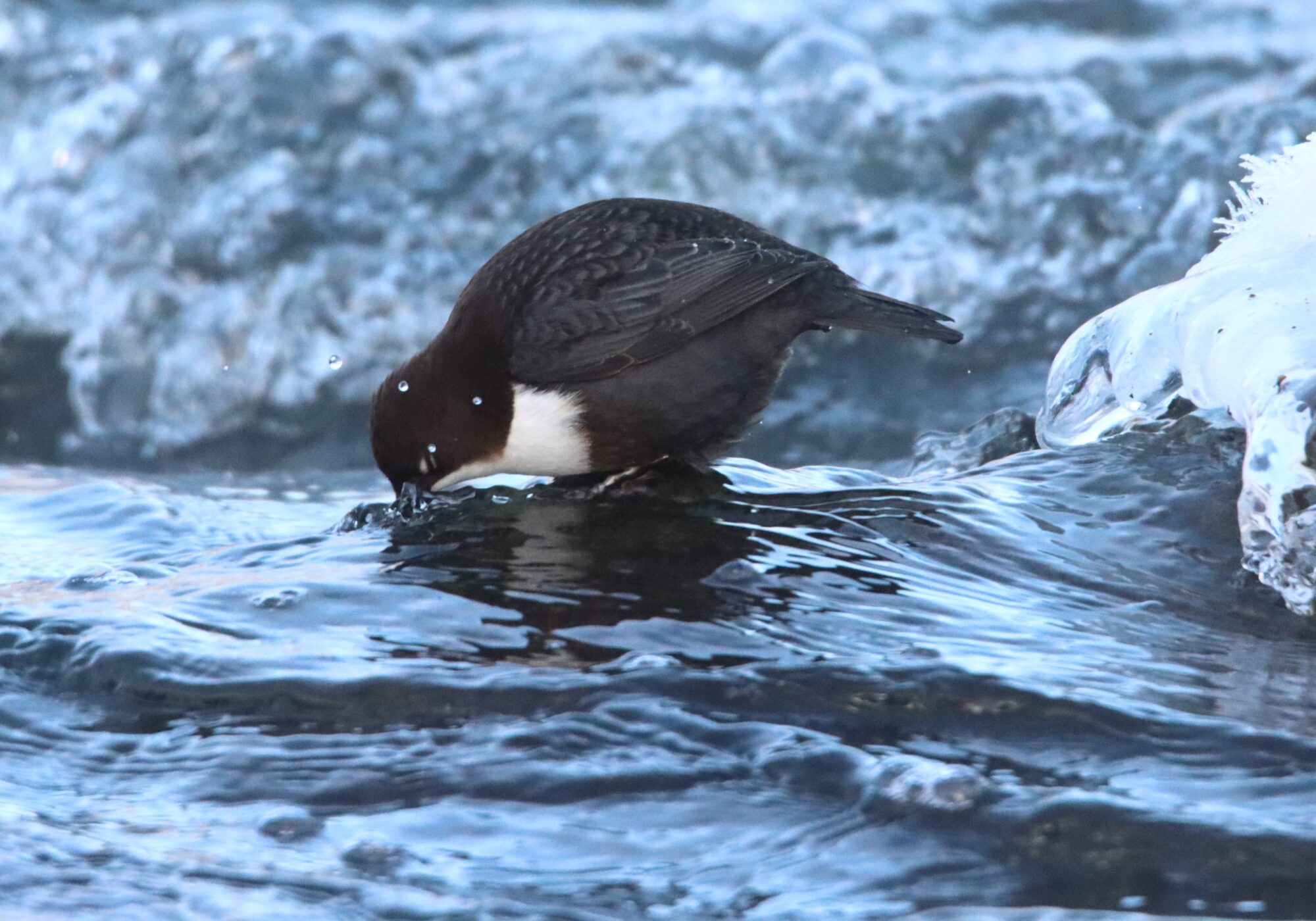 Valokuvaaja: Irja Lehtinen