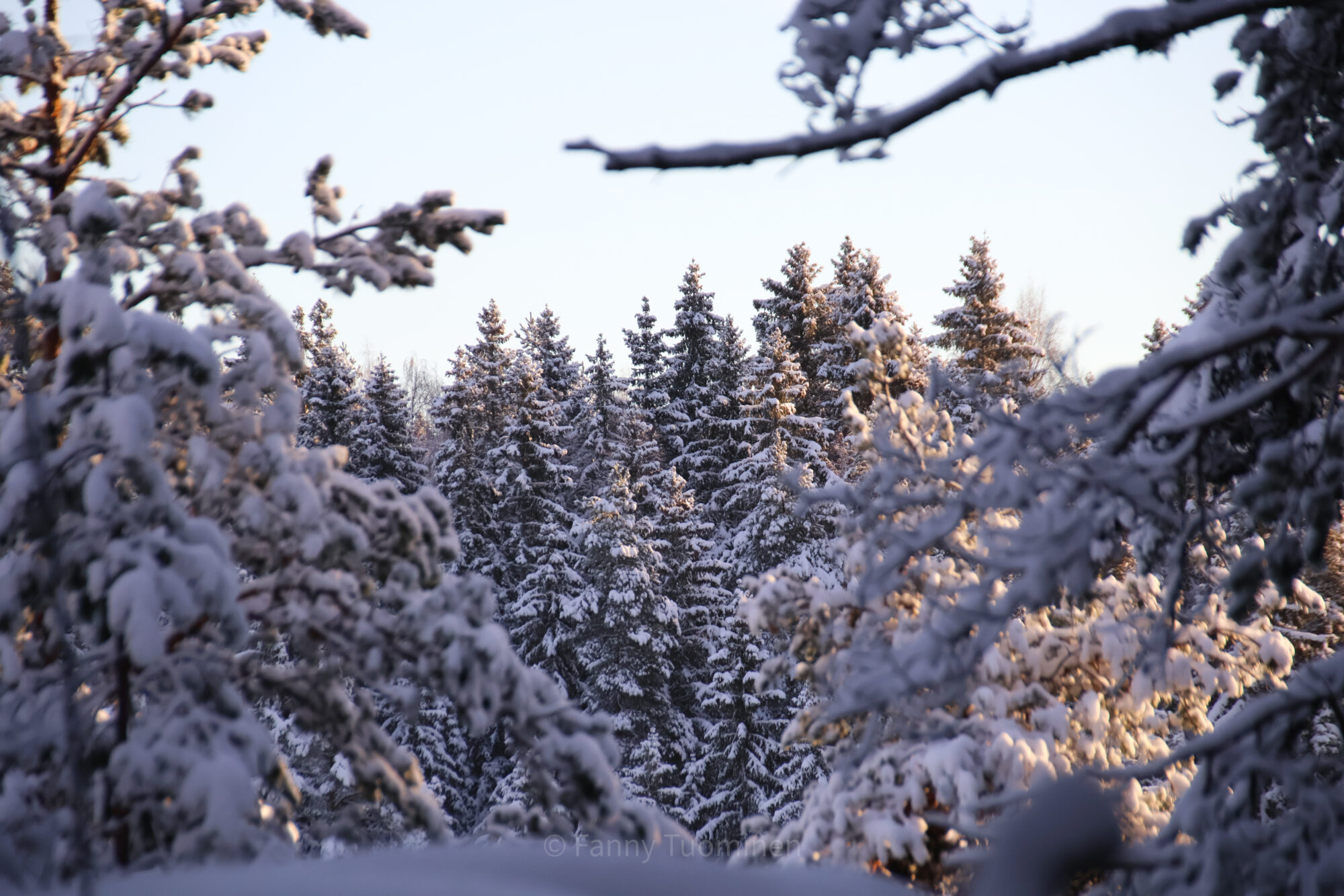 Valokuvaaja: Fanny Tuominen