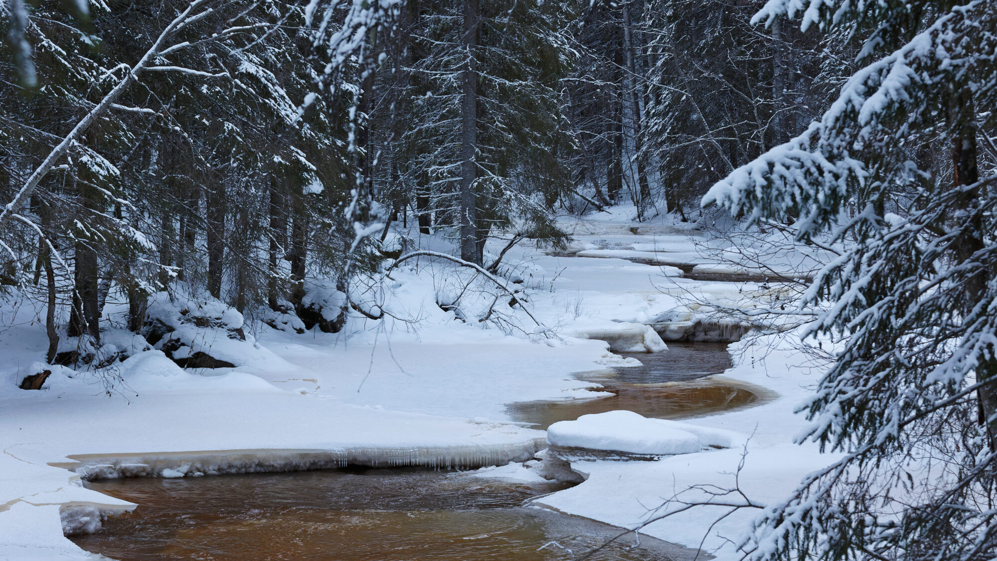 Valokuvaaja: TOMMI KUJALA