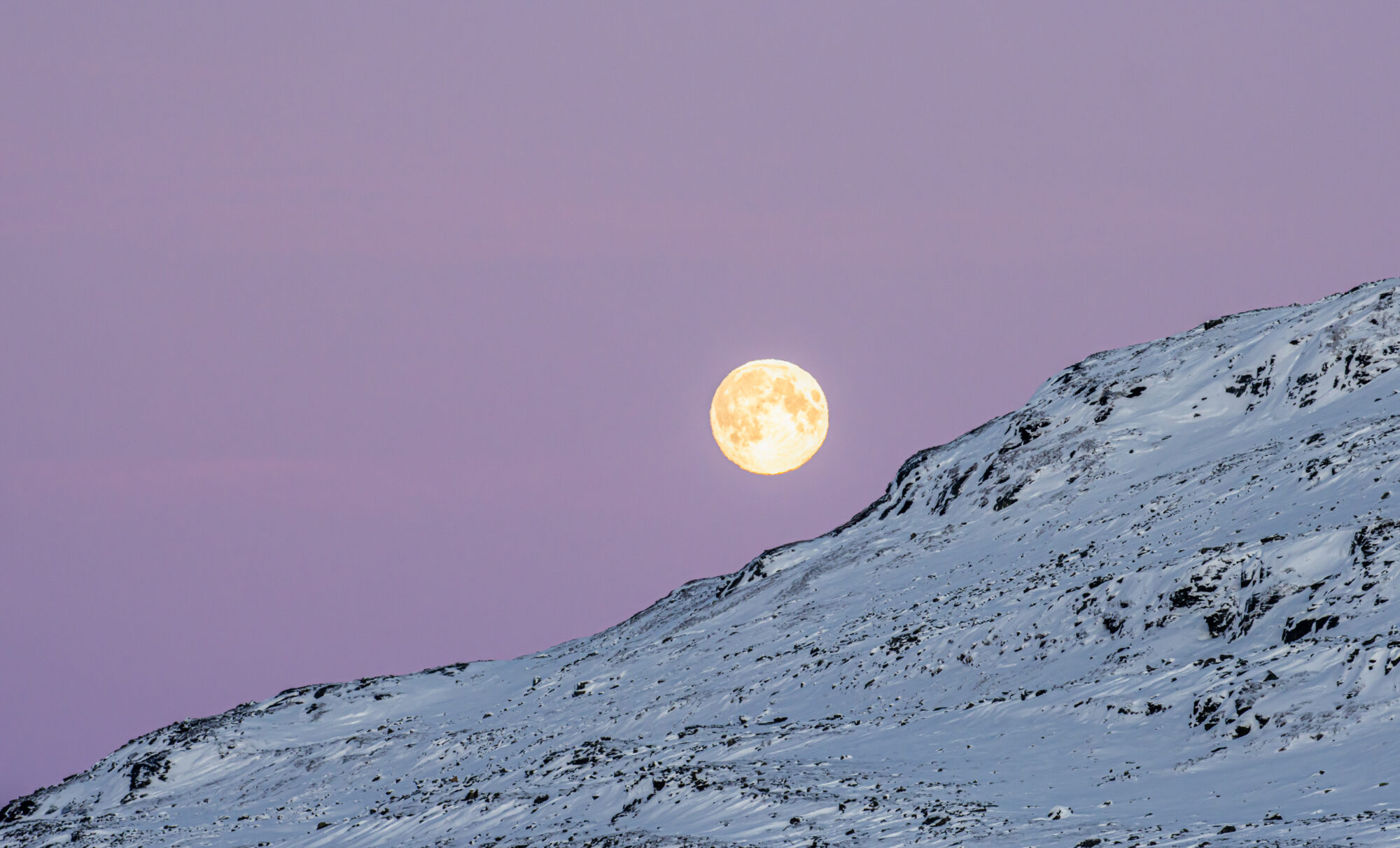 Valokuvaaja: Katri Niskanen