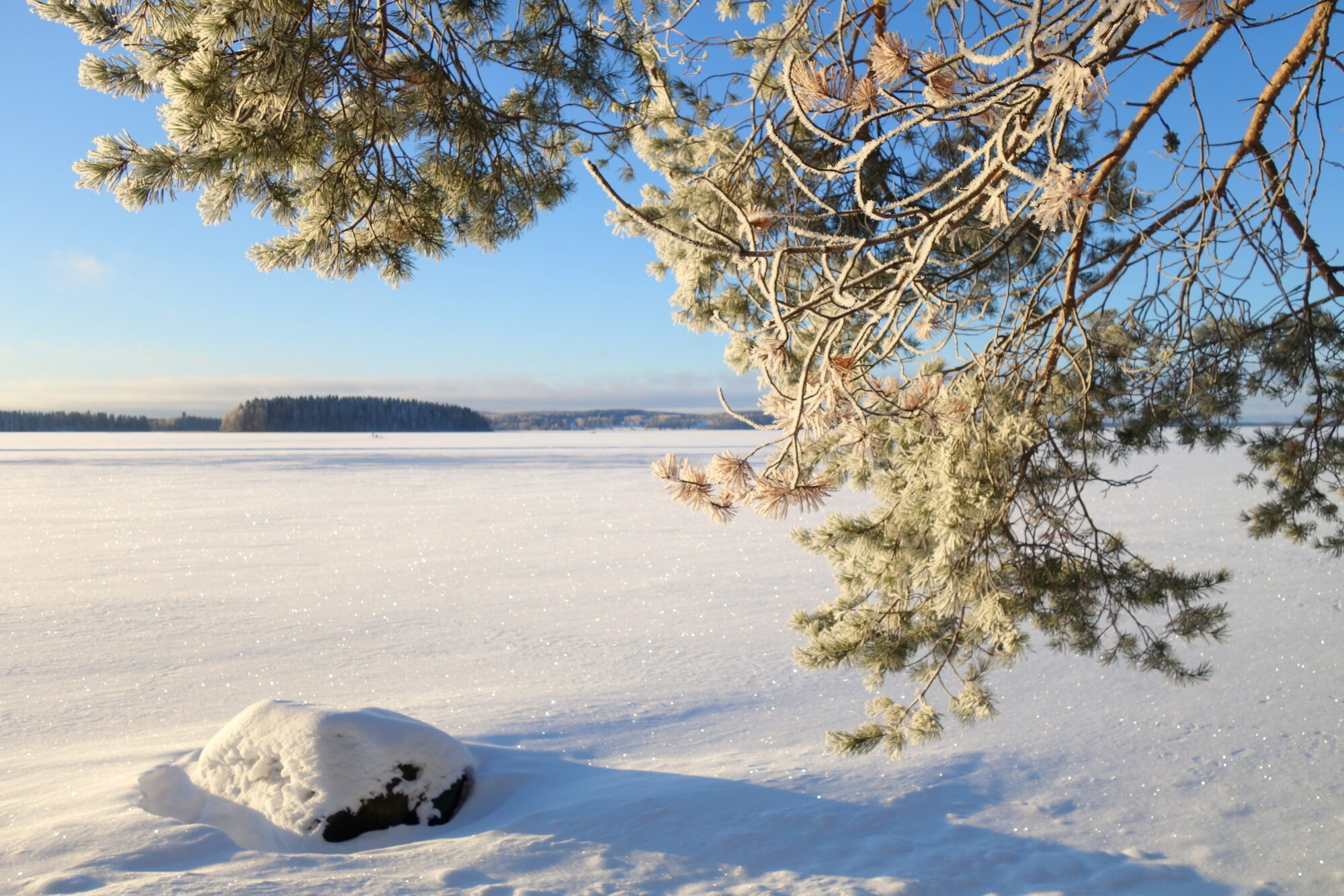 Valokuvaaja: Kaarlo Asikainen