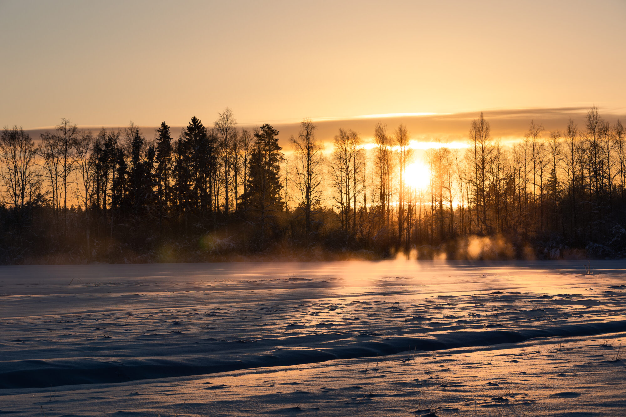 Valokuvaaja: TOMMI KUJALA
