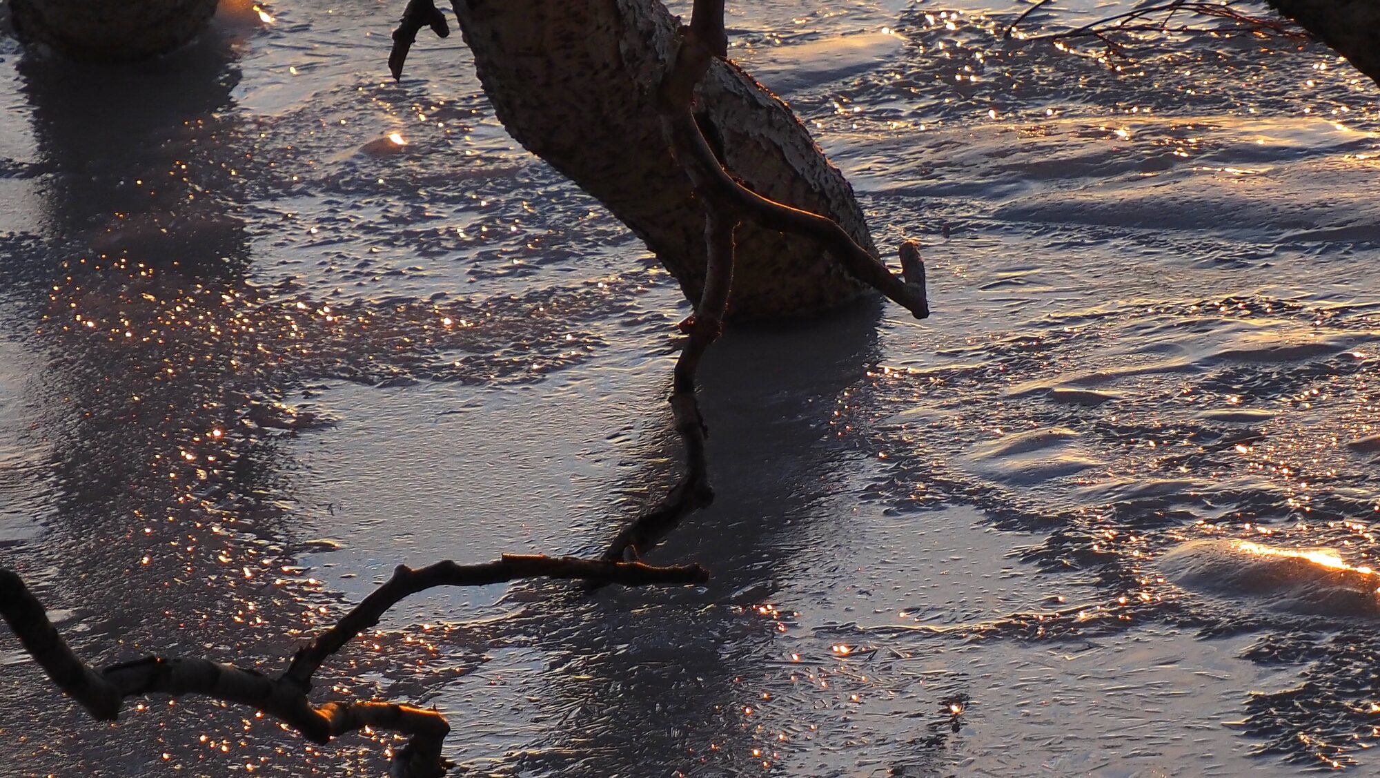 Valokuvaaja: Arja Valtonen