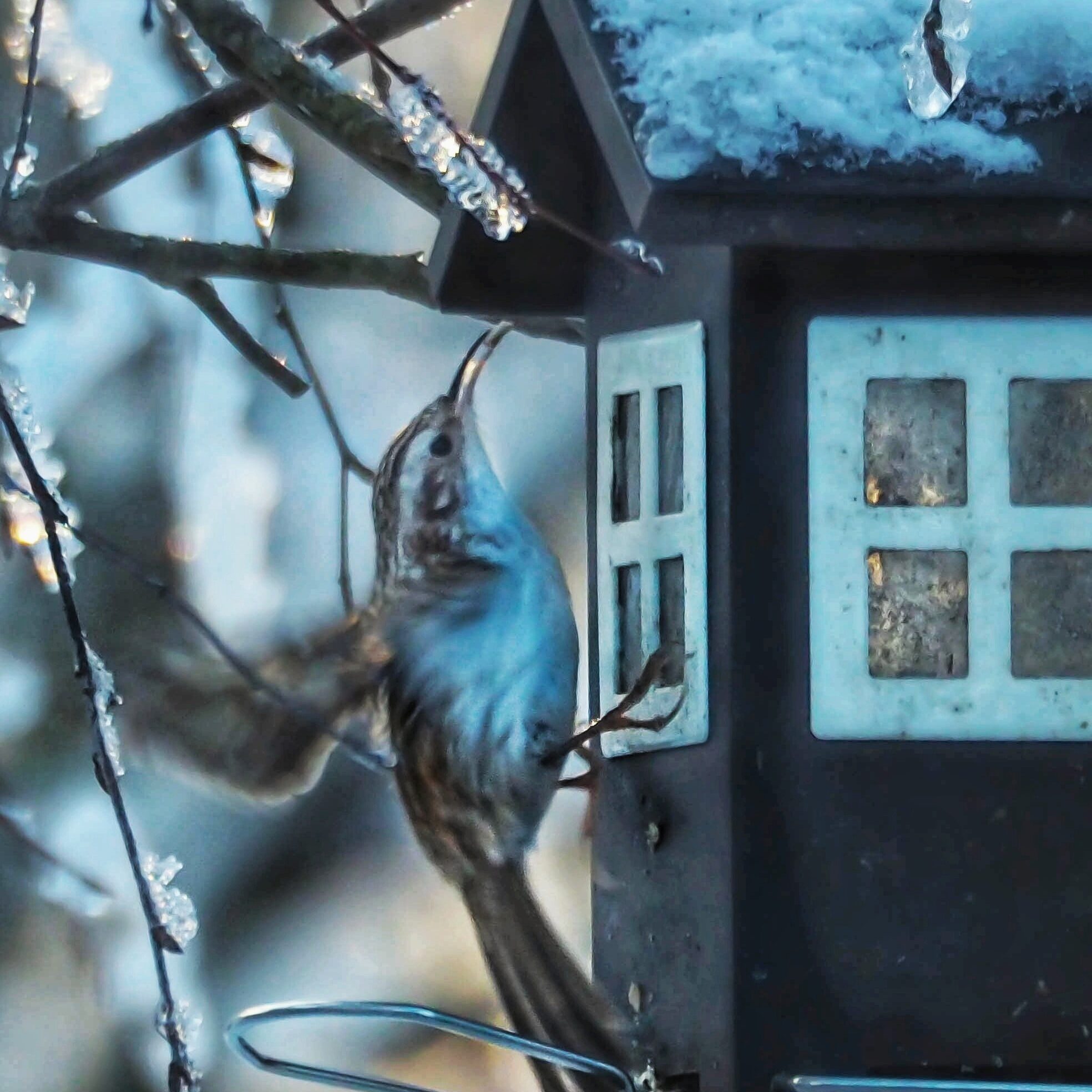 Valokuvaaja: Aki Jalava