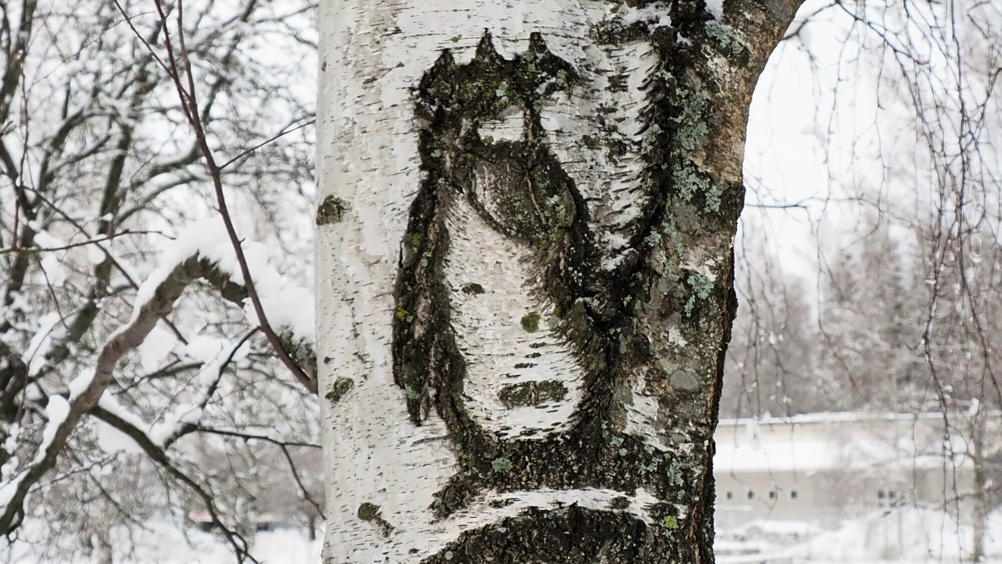 Valokuvaaja: Arja Valtonen