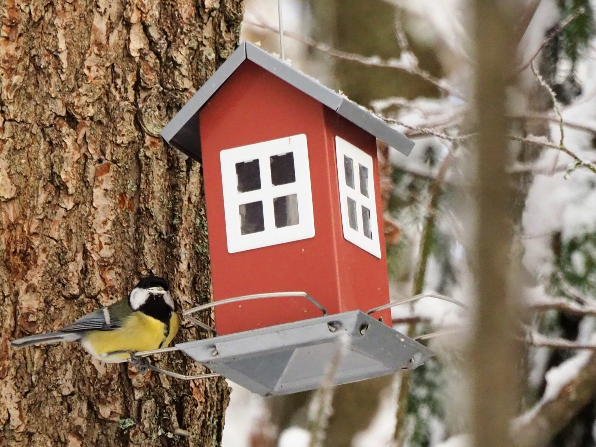 Valokuvaaja: Martti Valtonen