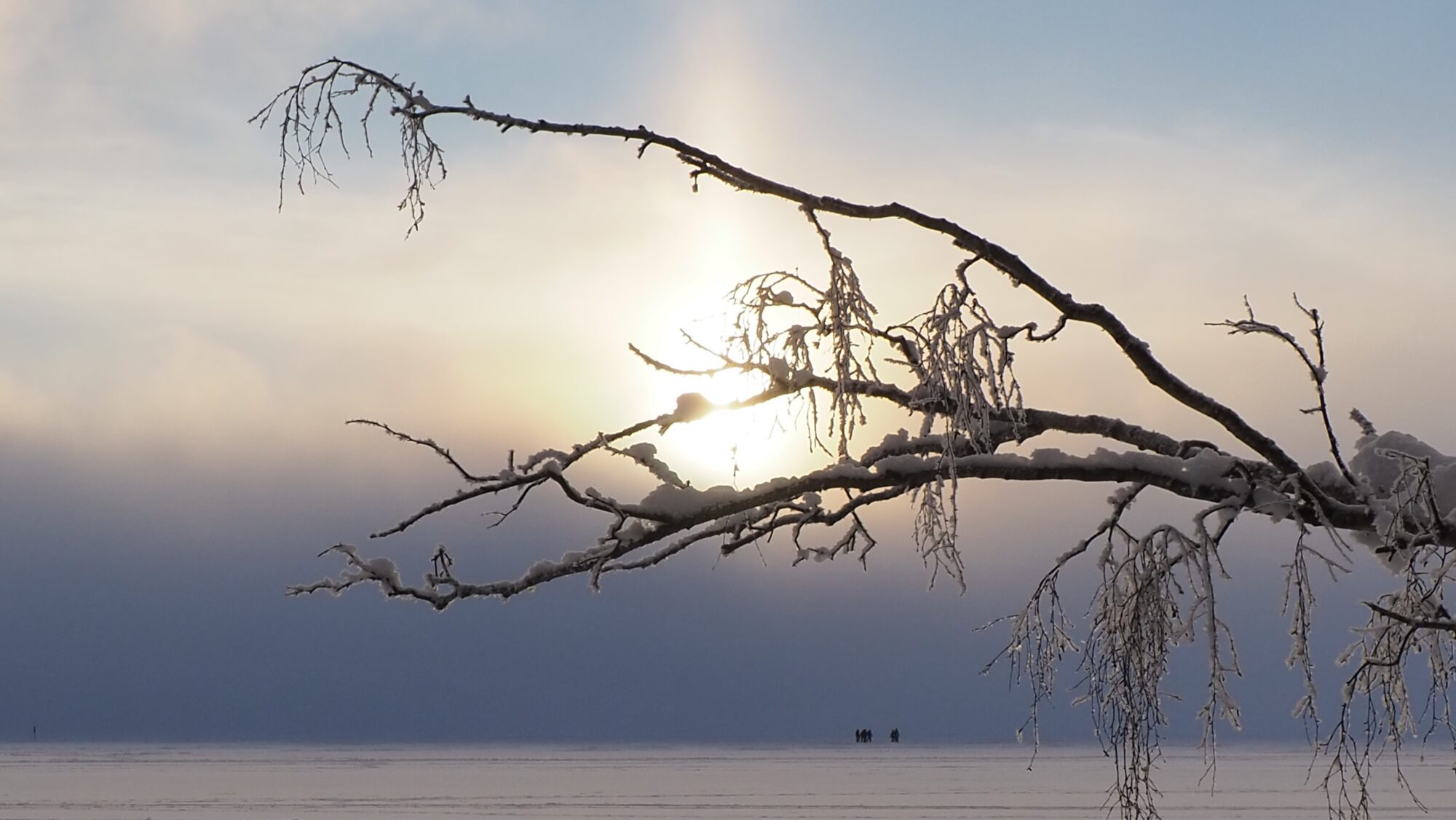 Valokuvaaja: Martti Valtonen