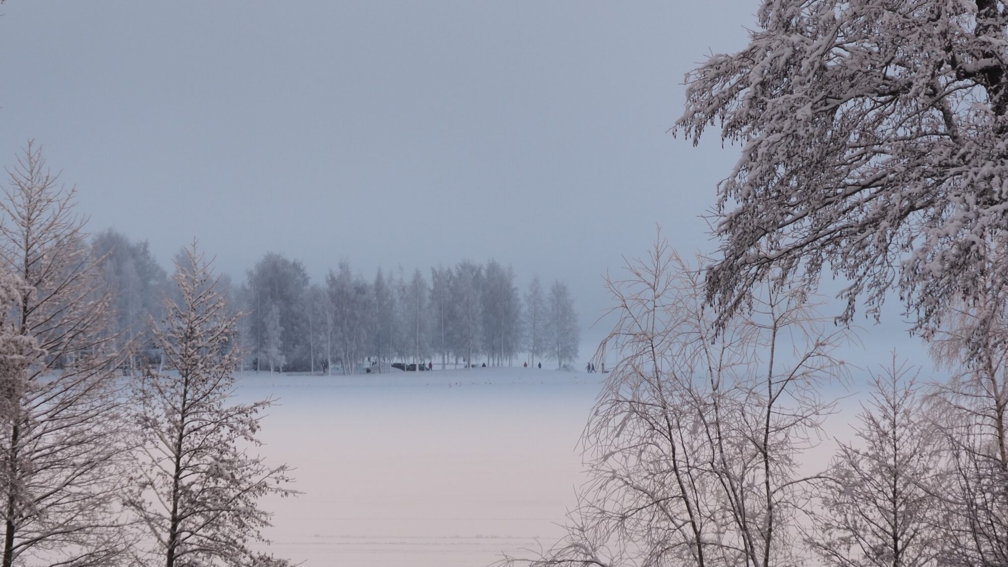 Valokuvaaja: Martti Valtonen