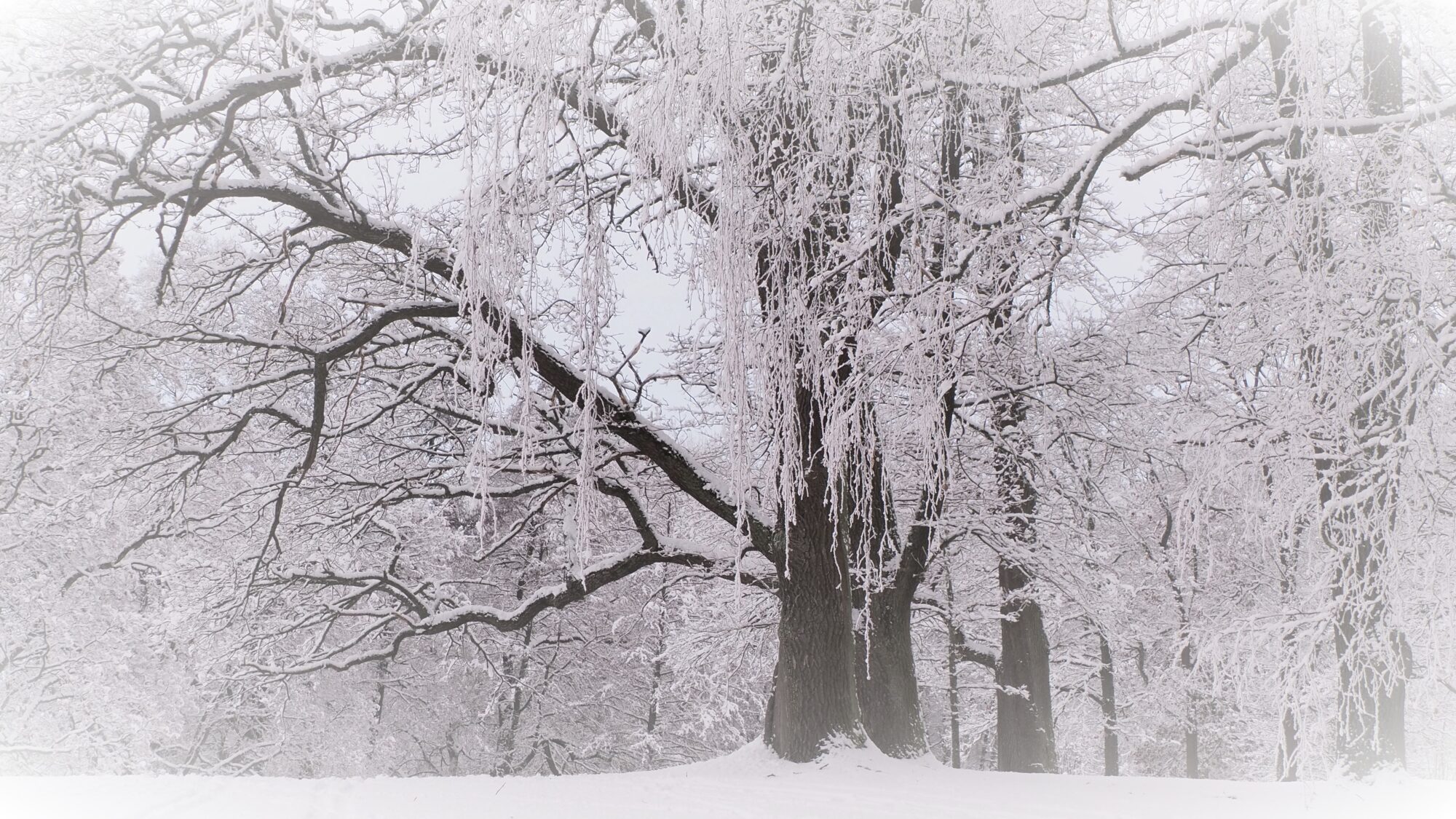 Valokuvaaja: Martti Valtonen Valokuvaaja: Martti Valtonen