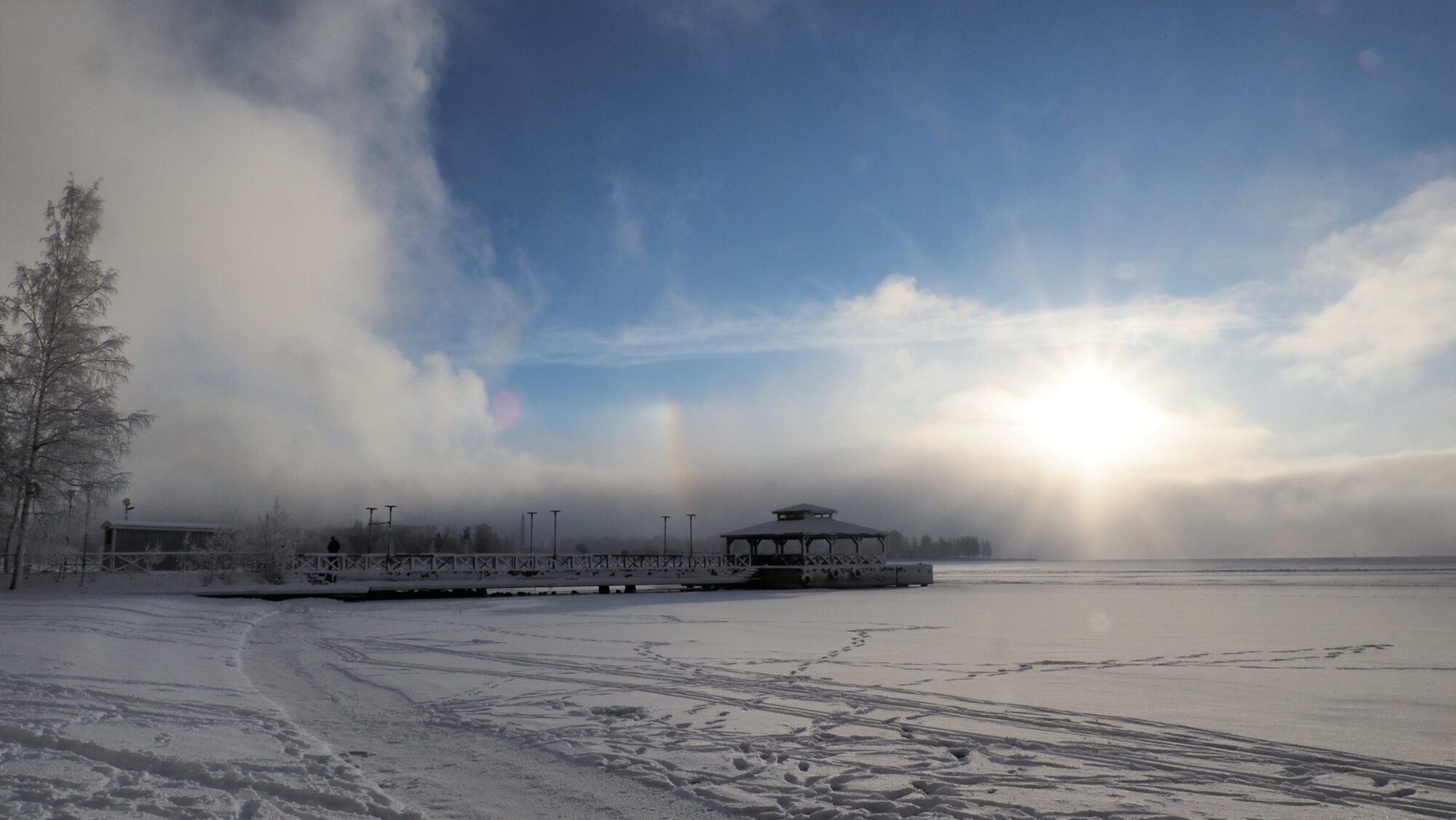 Valokuvaaja: Arja Valtonen