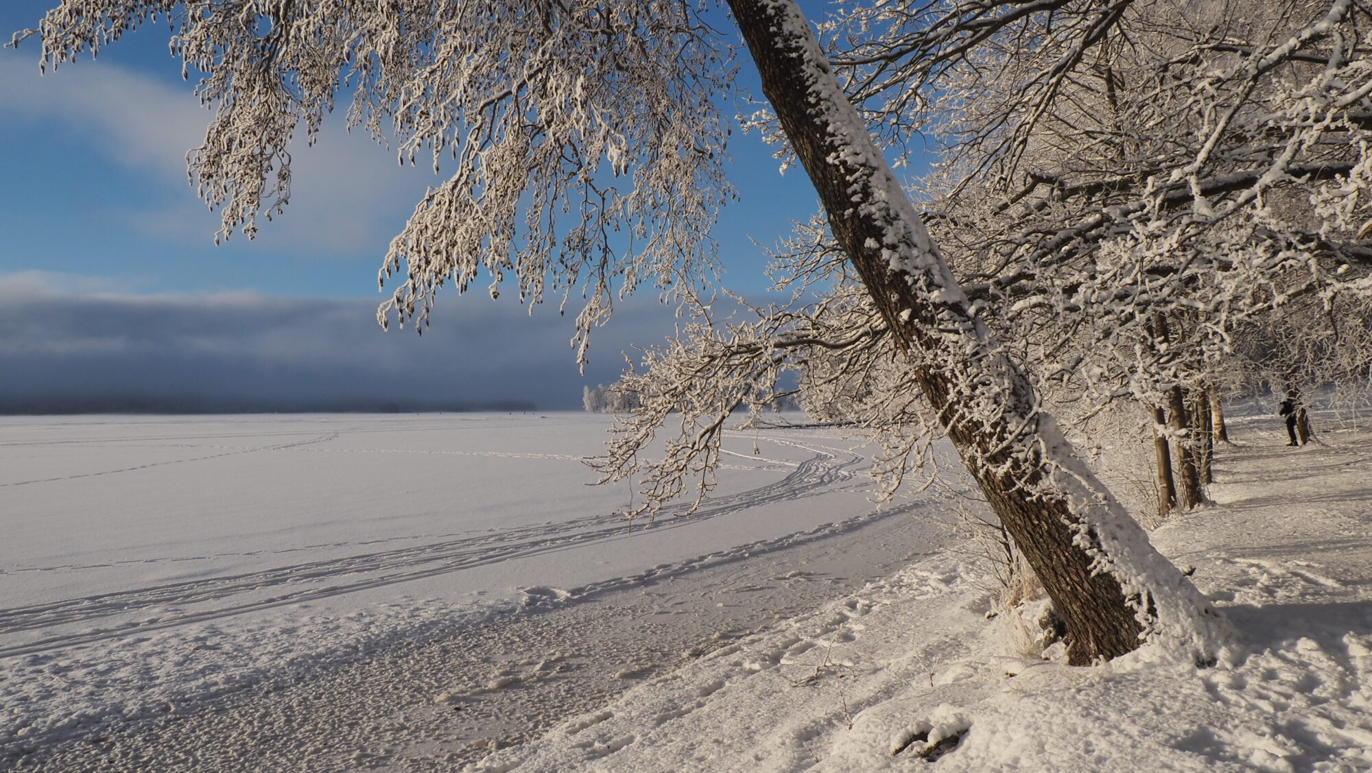 Valokuvaaja: Arja Valtonen Valokuvaaja: Arja Valtonen
