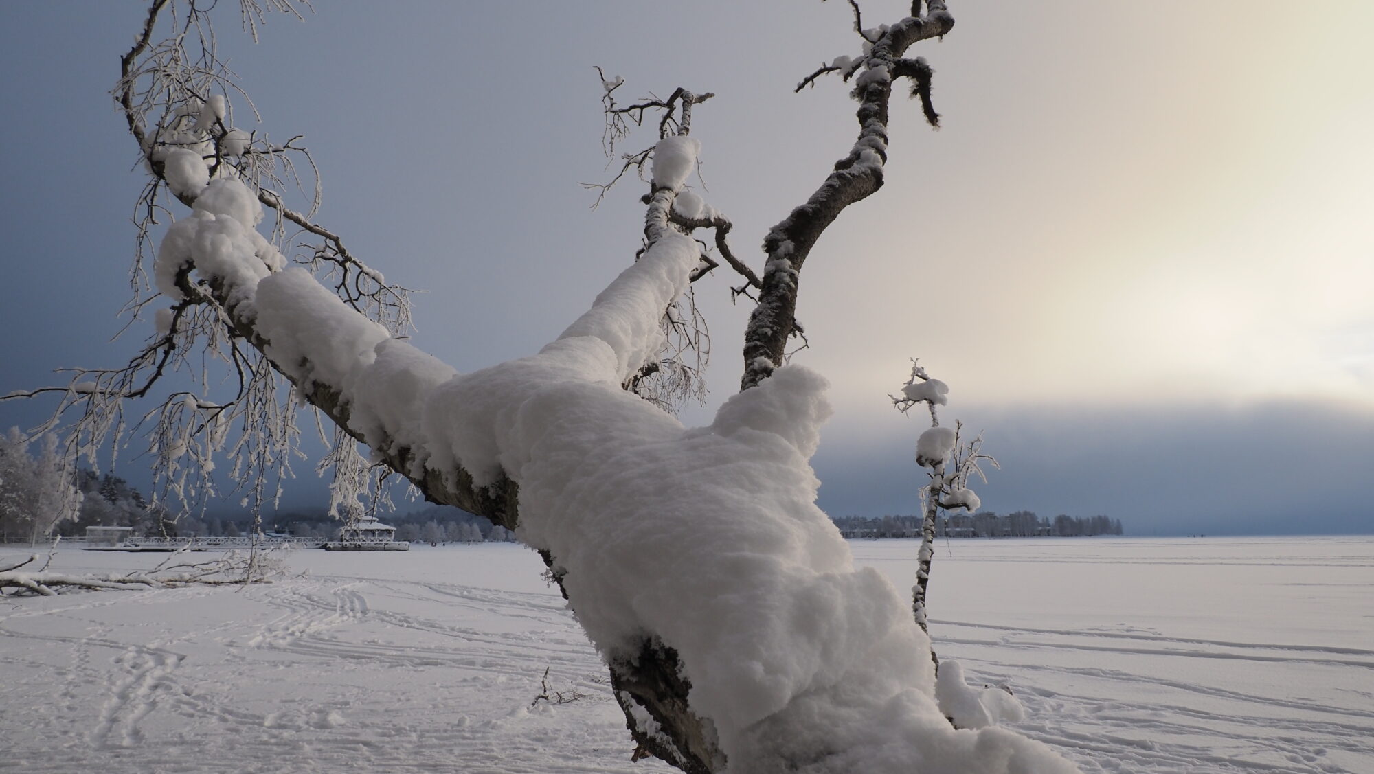 Valokuvaaja: Arja Valtonen