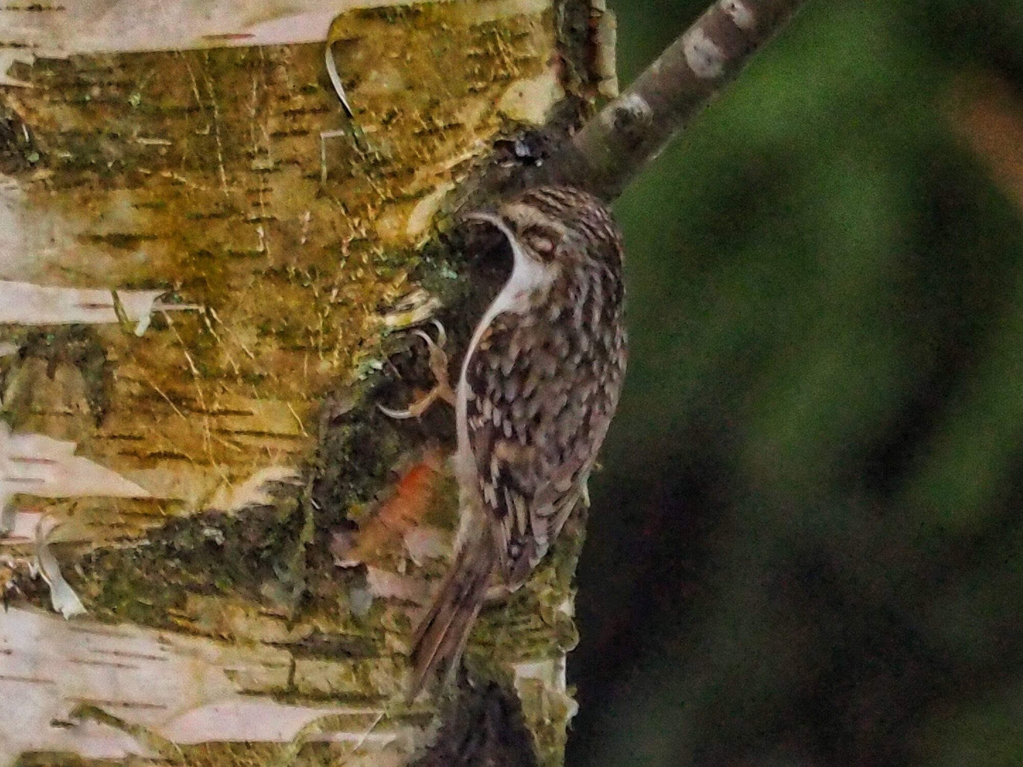 Valokuvaaja: Aki Jalava