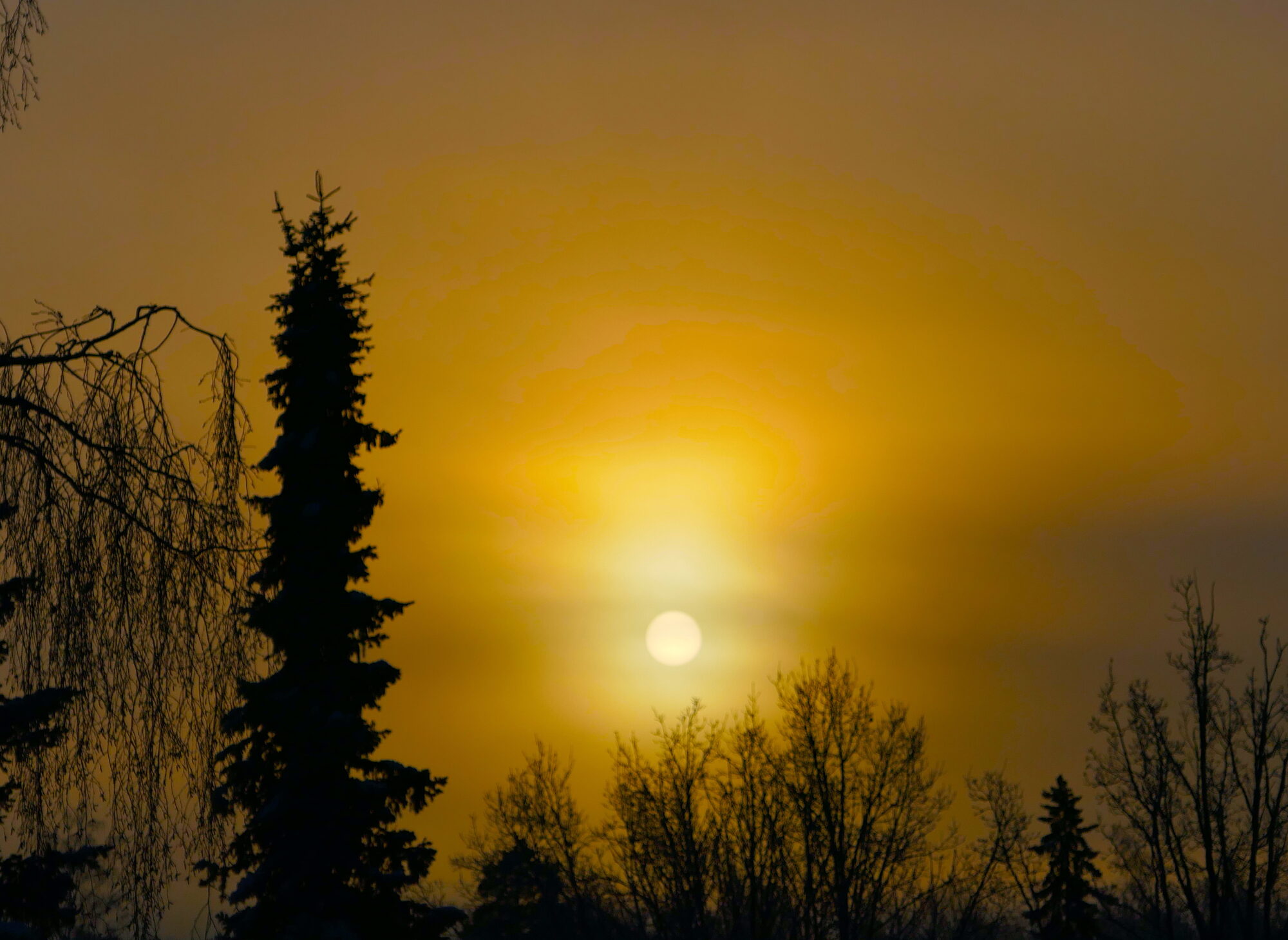 Valokuvaaja: Marjut Ikonen