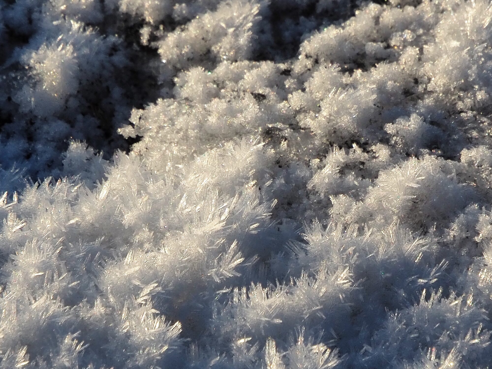 Valokuvaaja: Martti Valtonen