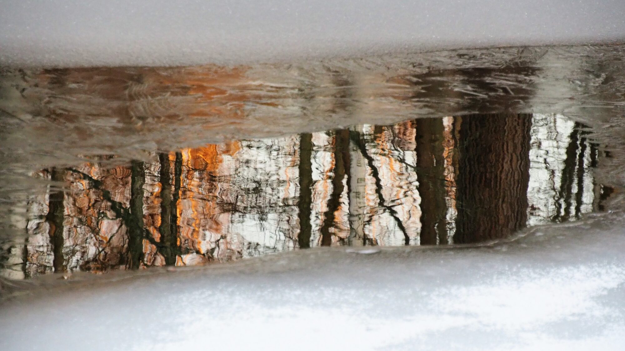 Valokuvaaja: Martti Valtonen