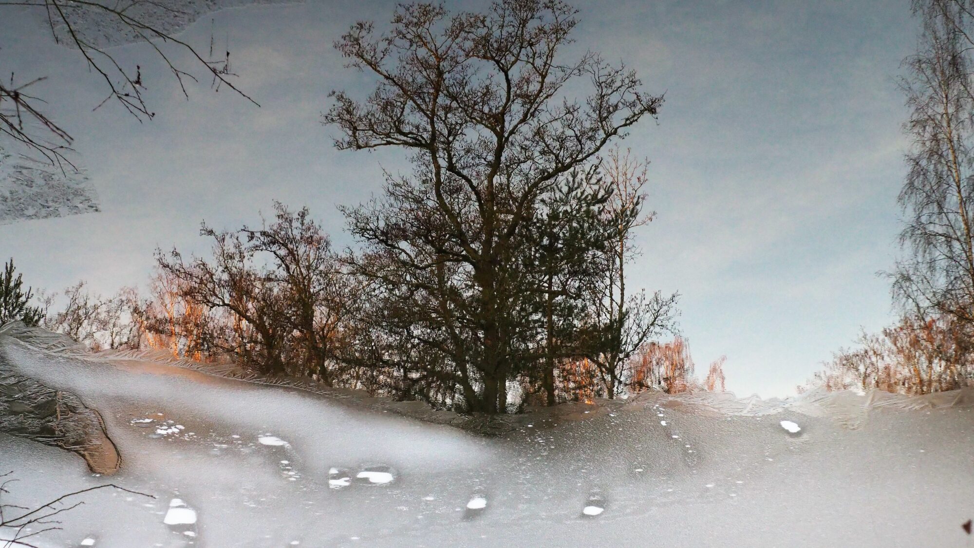 Valokuvaaja: Martti Valtonen Valokuvaaja: Martti Valtonen