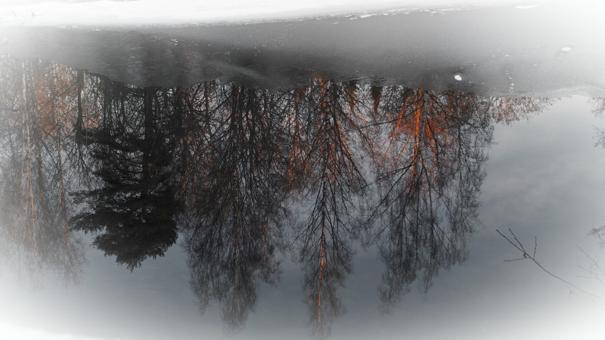 Valokuvaaja: Martti Valtonen