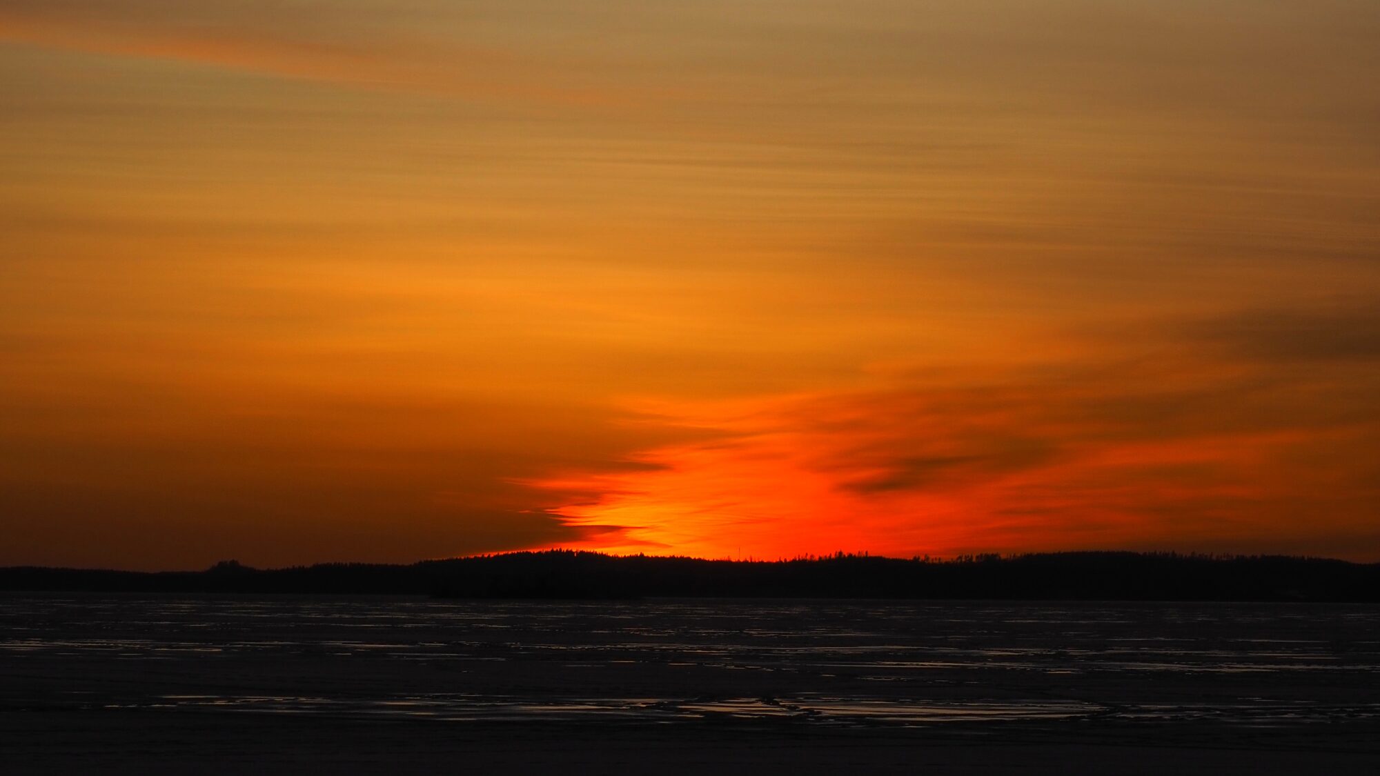 Valokuvaaja: Martti Valtonen