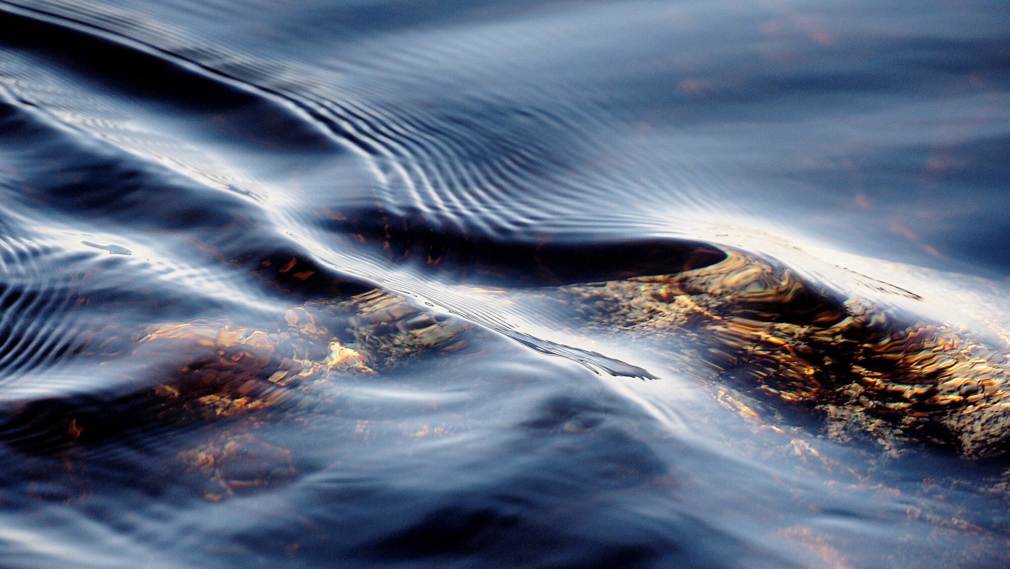 Valokuvaaja: Arja Valtonen