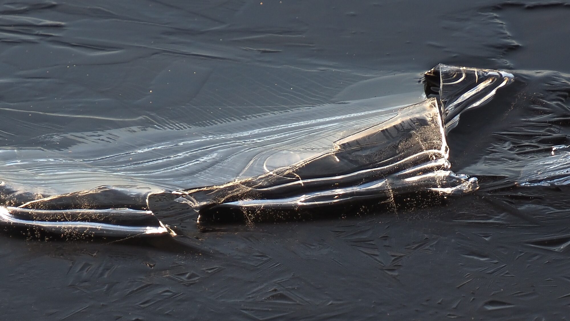 Valokuvaaja: Arja Valtonen