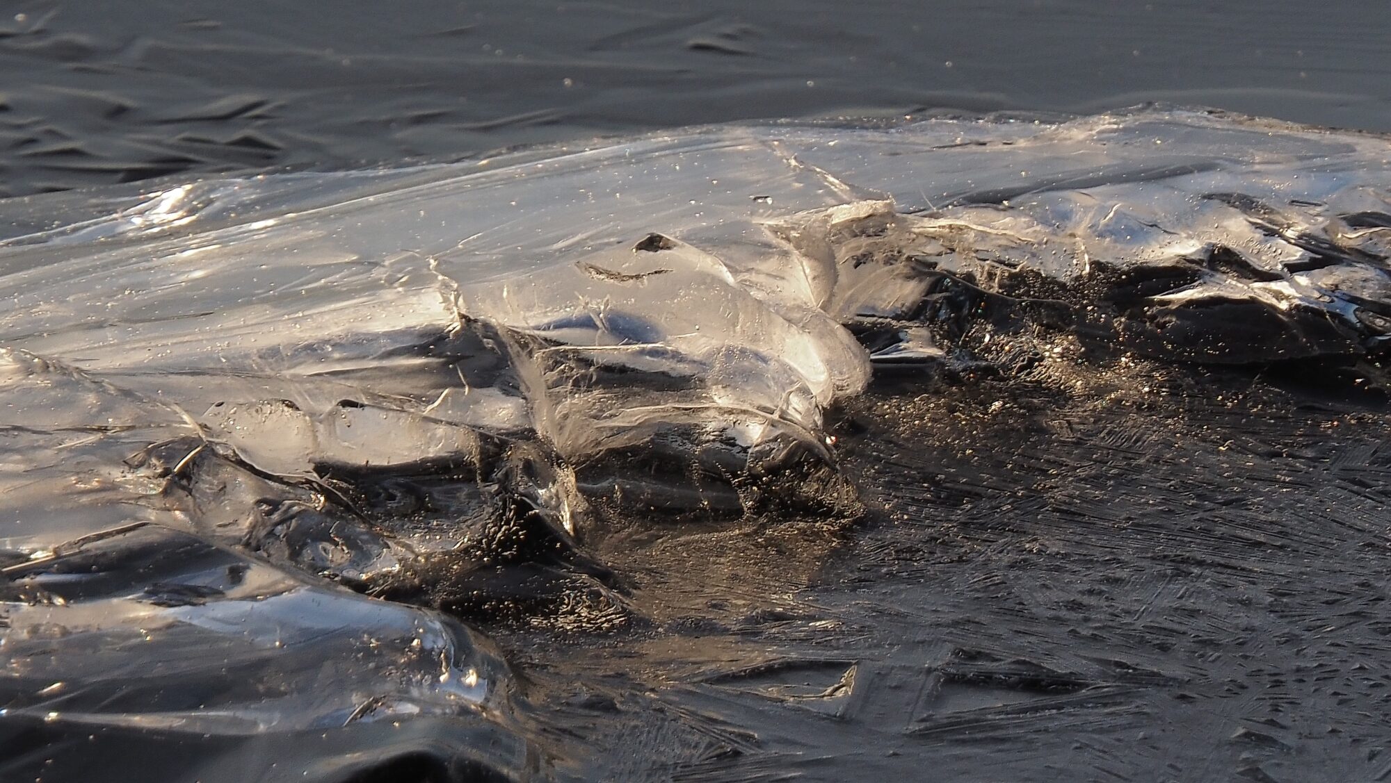 Valokuvaaja: Arja Valtonen