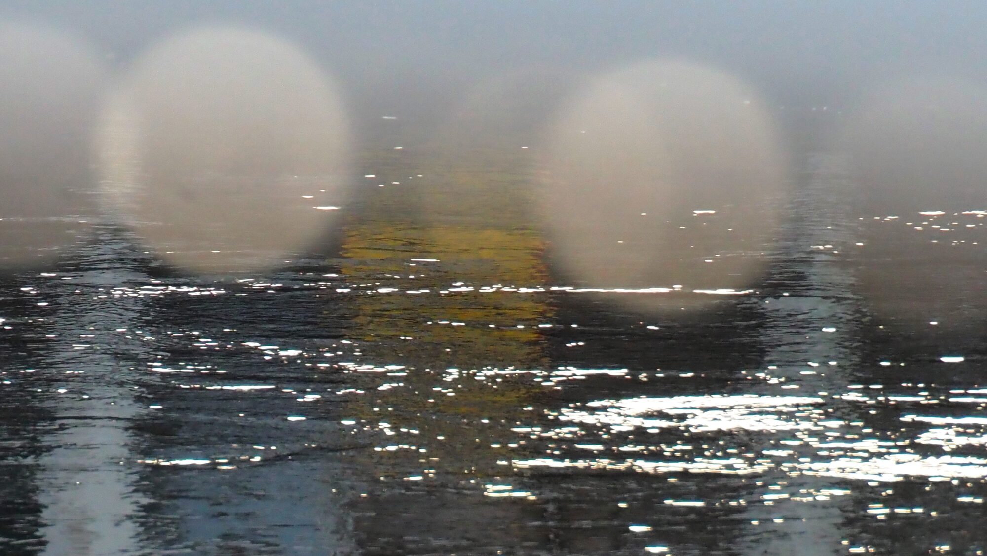 Valokuvaaja: Arja Valtonen Valokuvaaja: Arja Valtonen