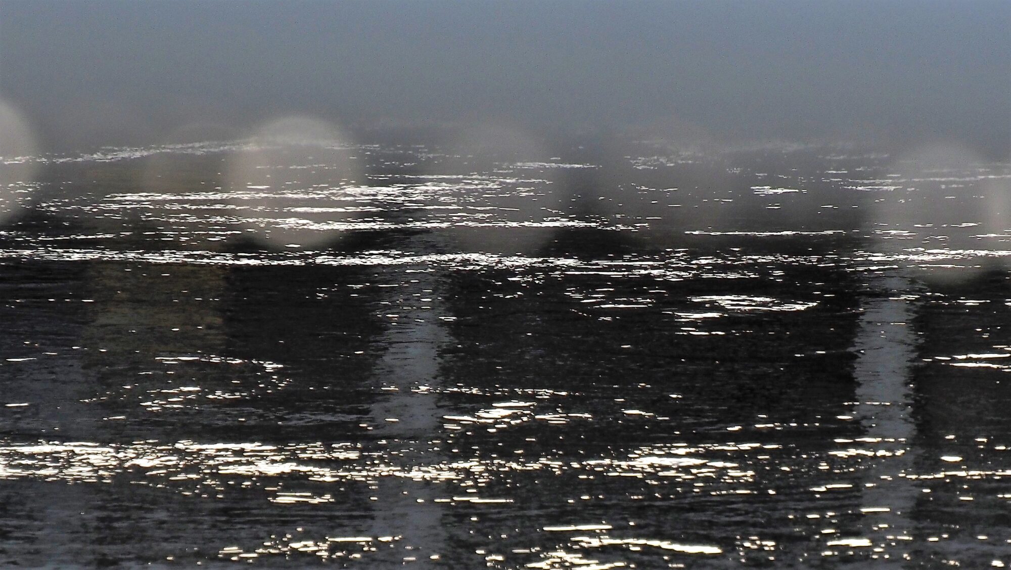 Valokuvaaja: Arja Valtonen