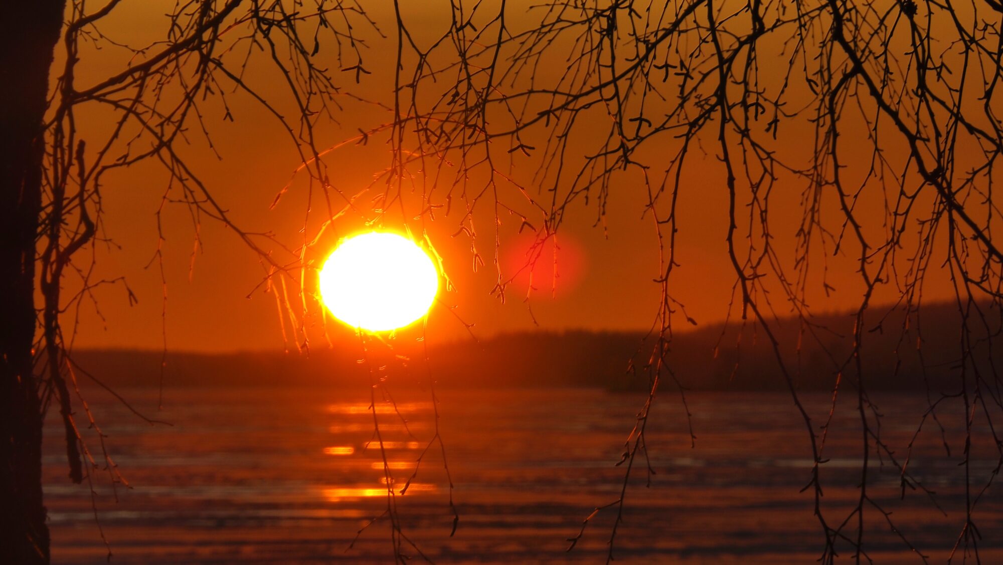 Valokuvaaja: Arja Valtonen