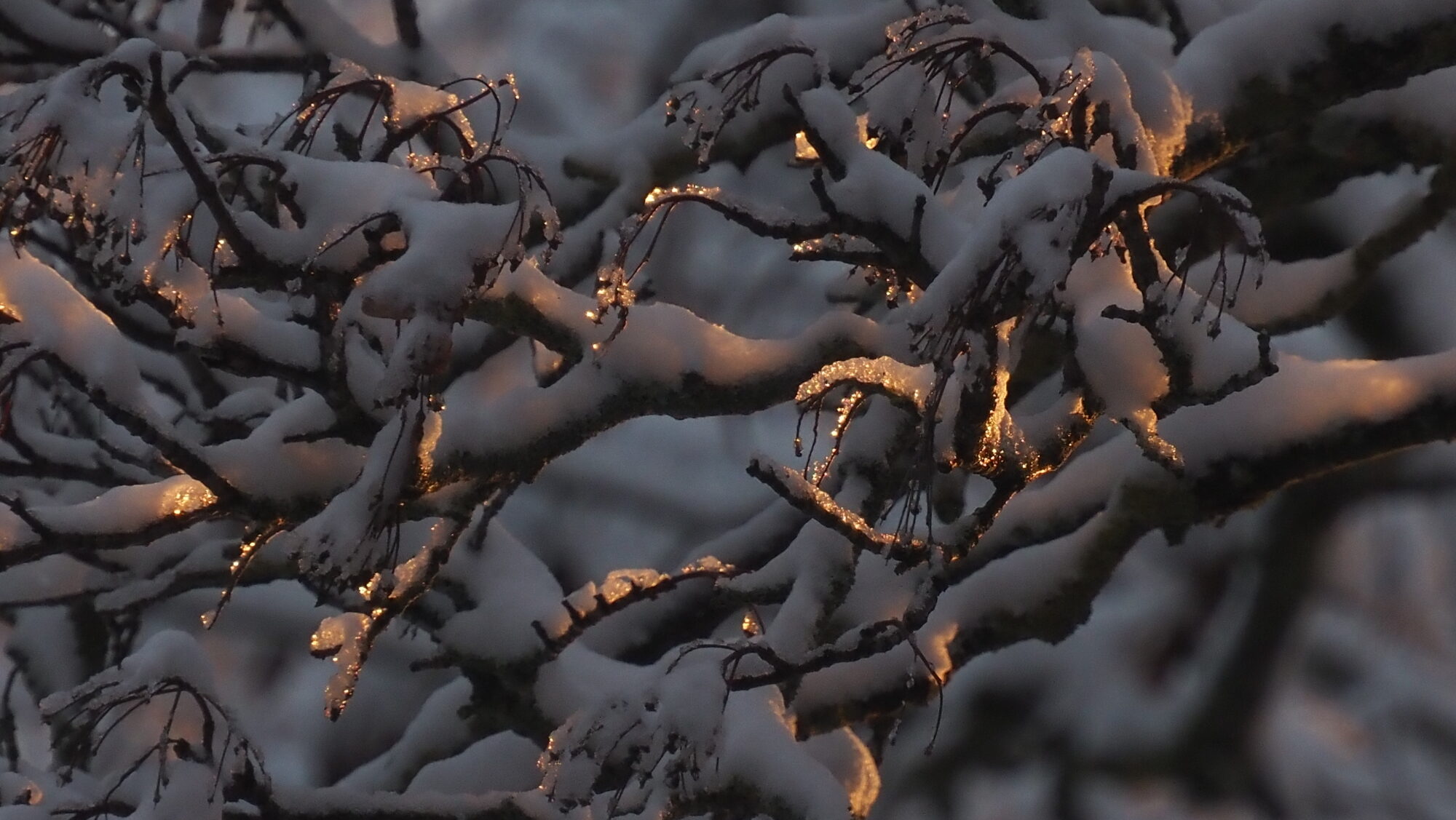 Valokuvaaja: Arja Valtonen