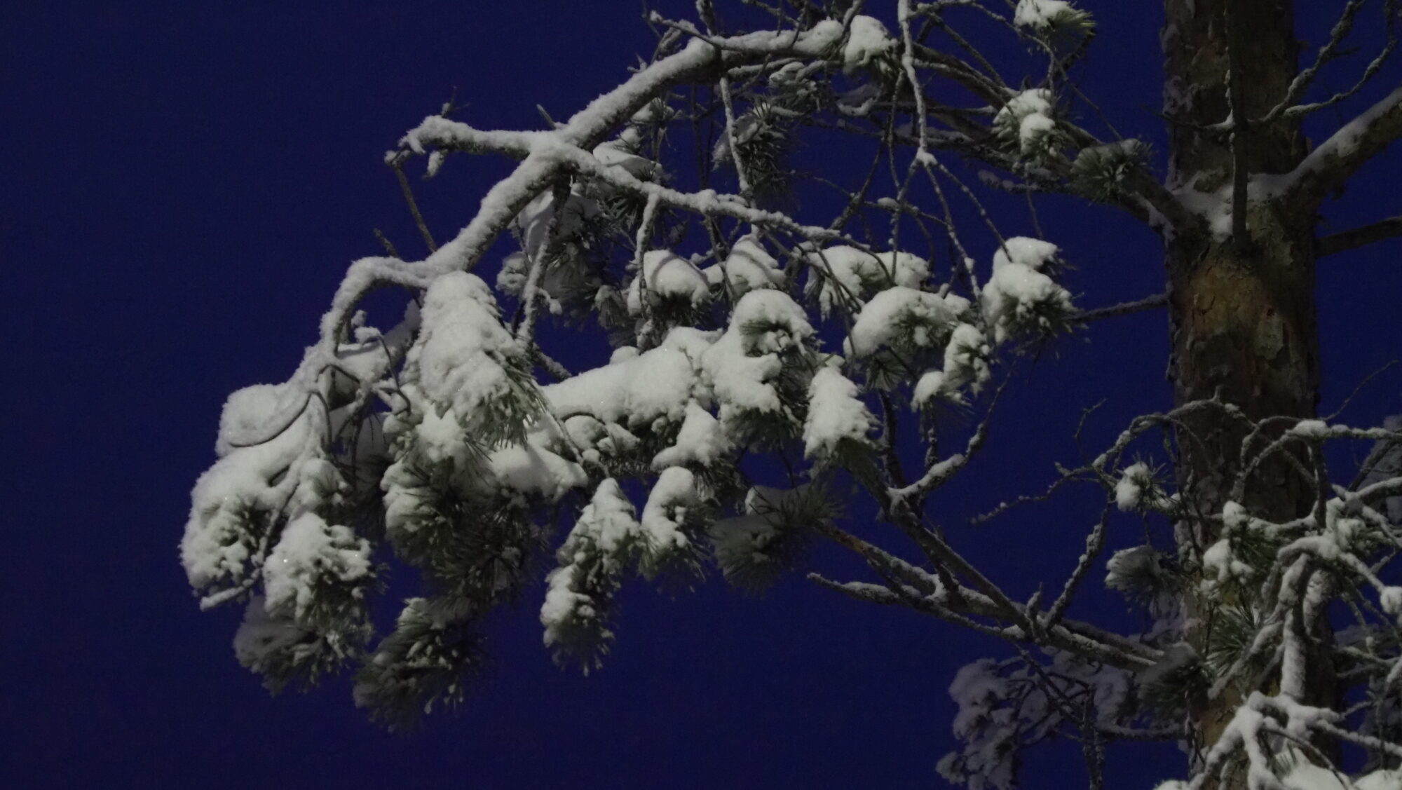 Valokuvaaja: Arja Valtonen