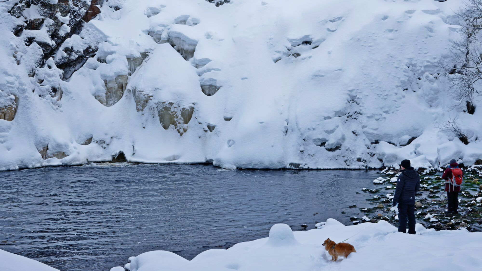 Valokuvaaja: TOMMI KUJALA