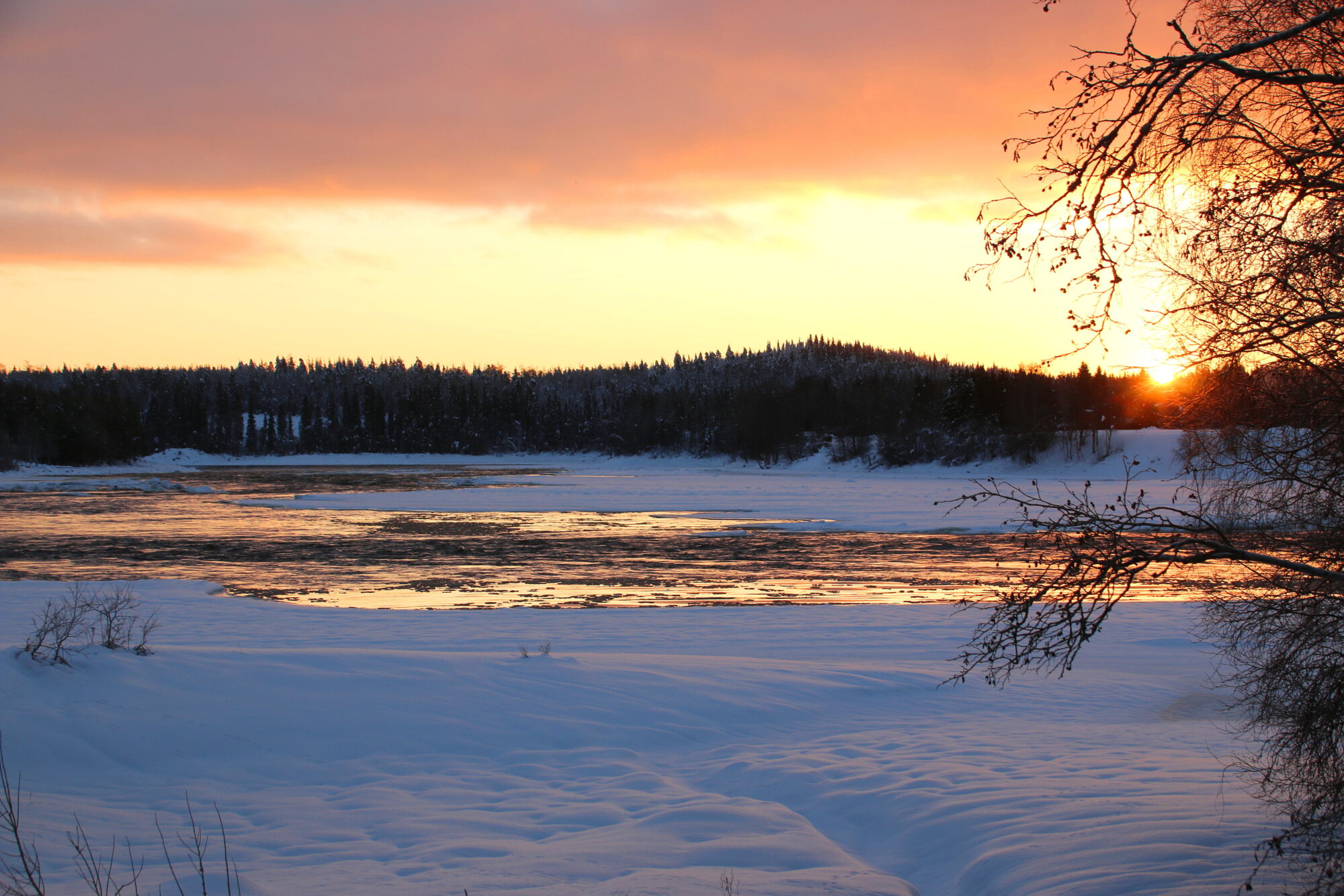 Valokuvaaja: Tuukka Pahtamaa