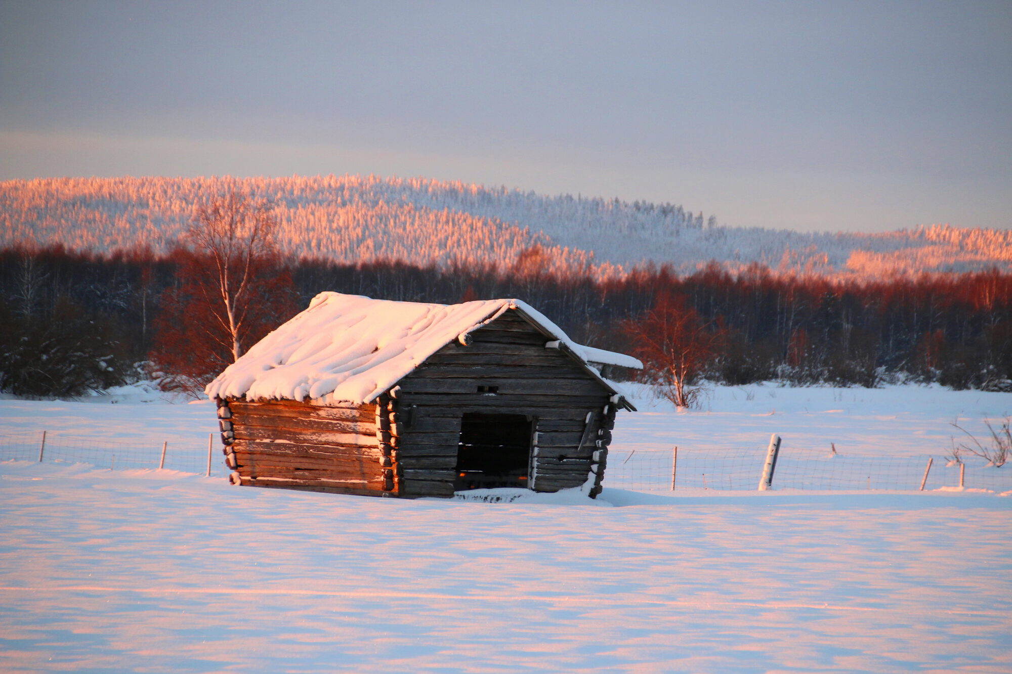 Valokuvaaja: Tuukka Pahtamaa
