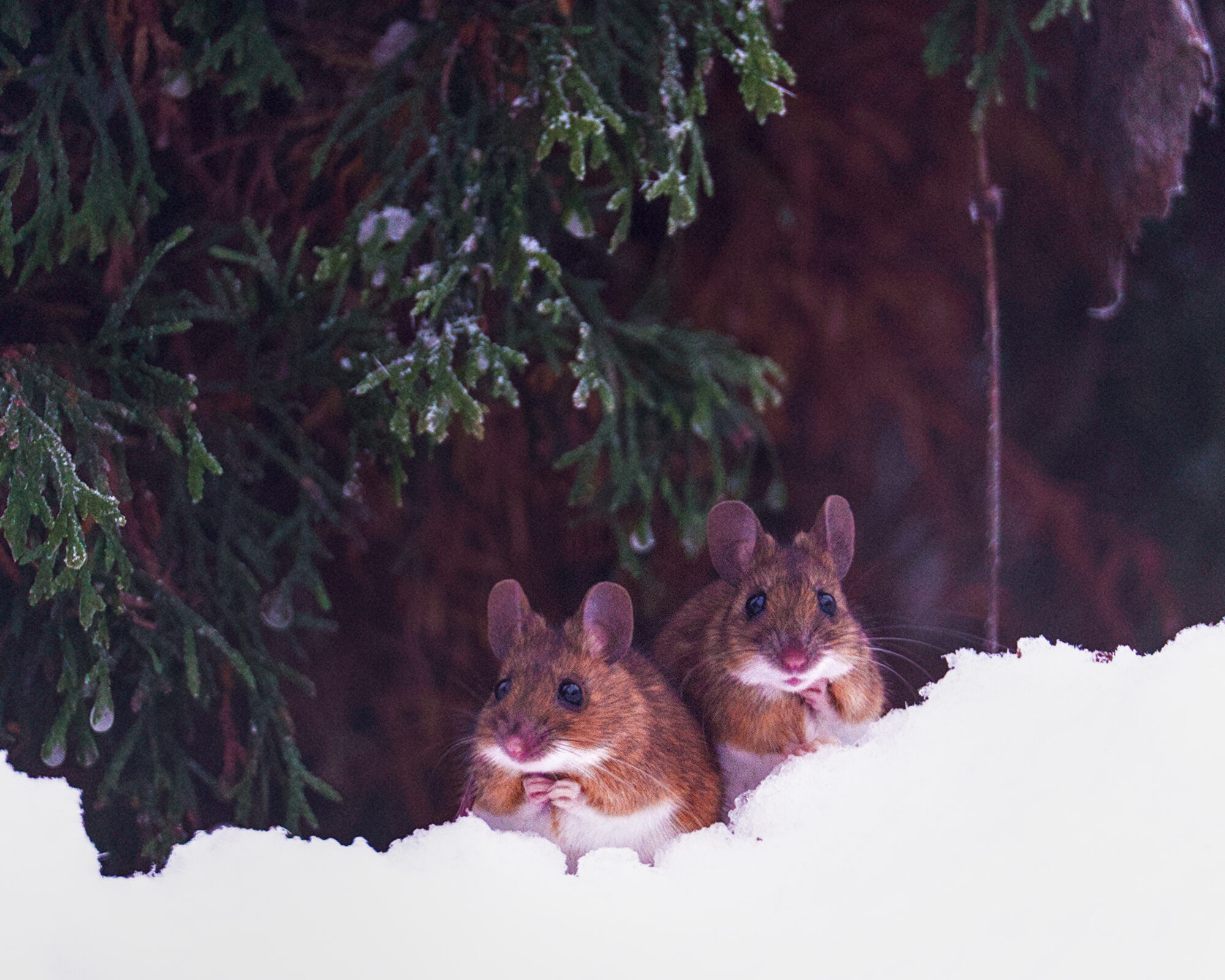 Valokuvaaja: Eero Lemmelä