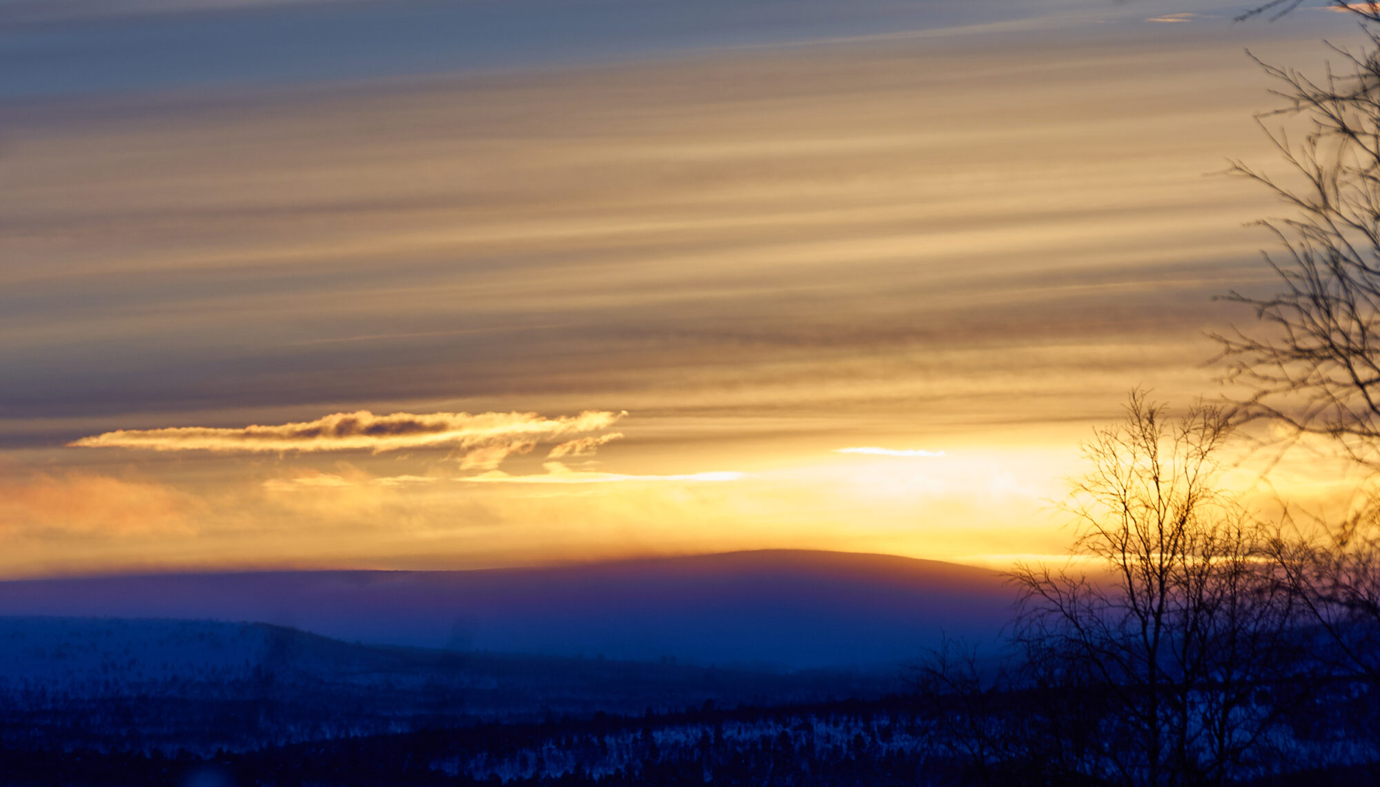 Valokuvaaja: Tarja Kouvo