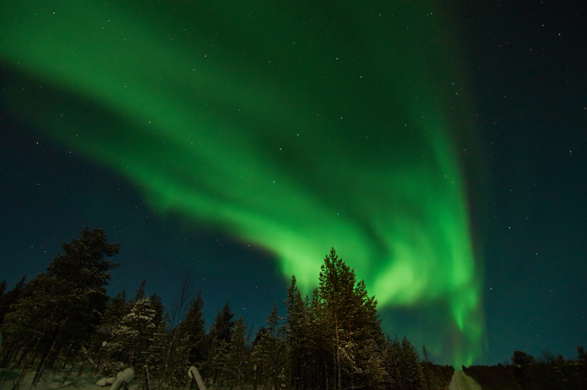 Valokuvaaja: Tarja Kouvo