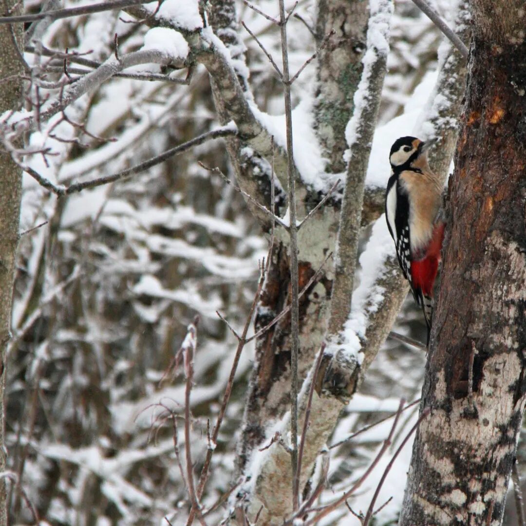 Valokuvaaja: Akseli lähteenmäki Valokuvaaja: Akseli lähteenmäki