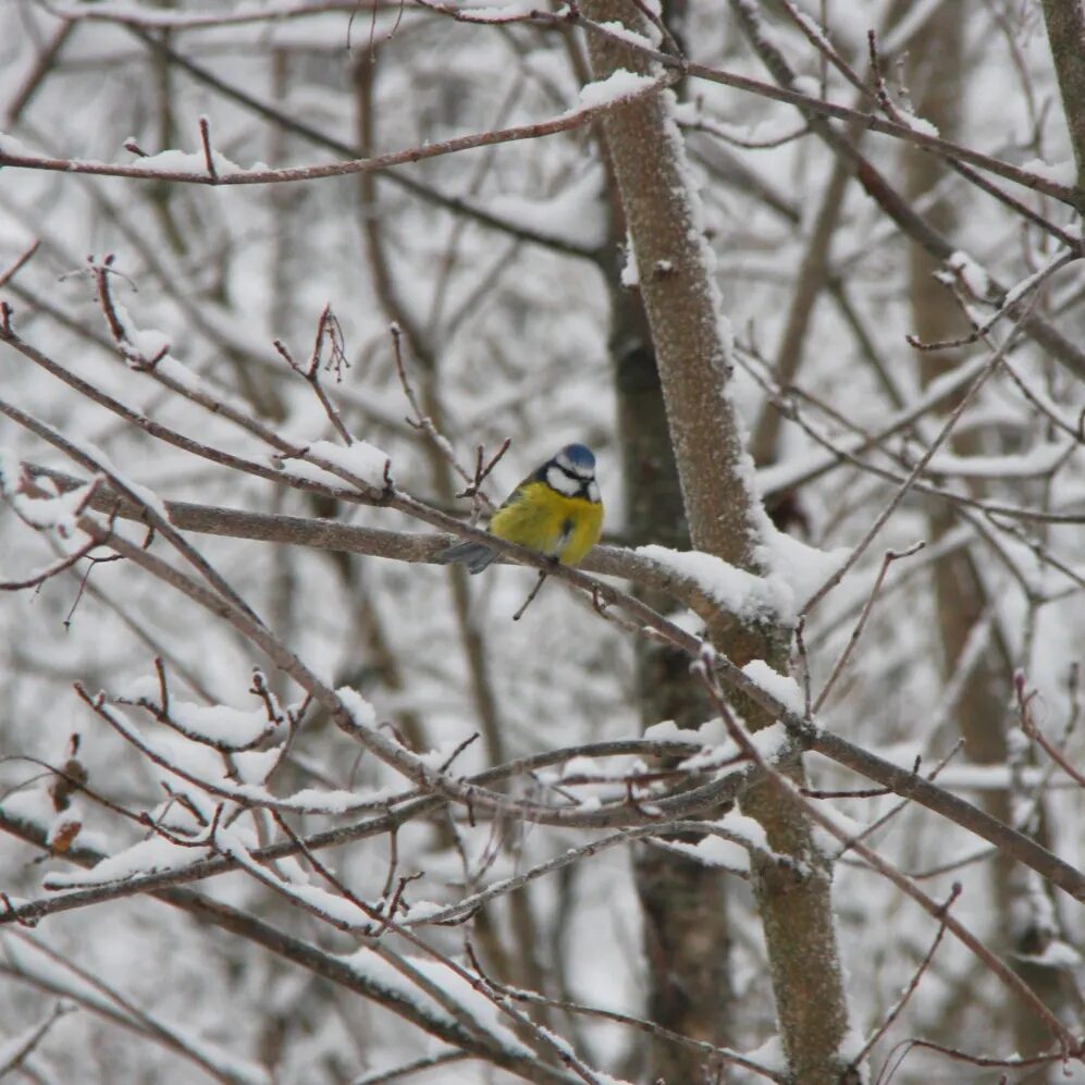 Valokuvaaja: Akseli lähteenmäki
