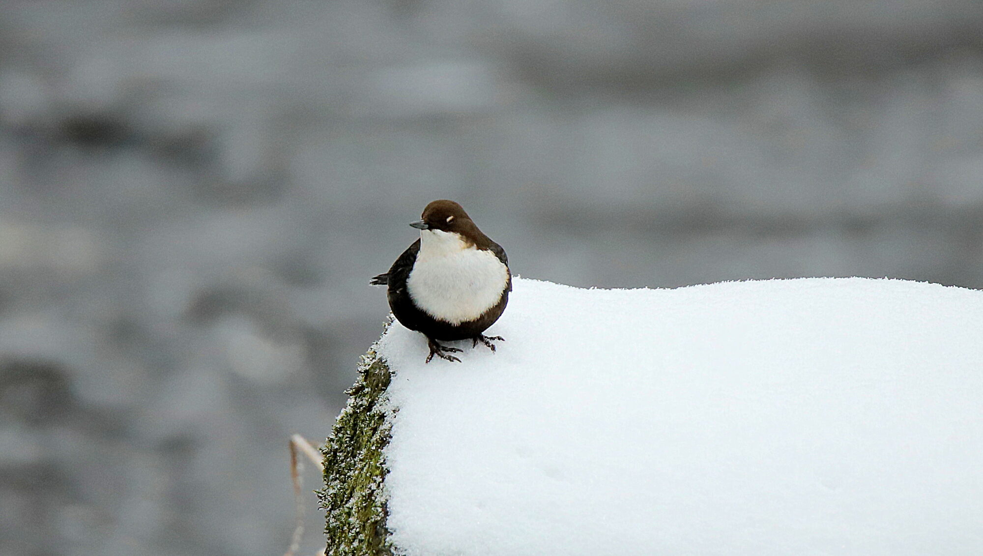 Valokuvaaja: sirpa Jyske