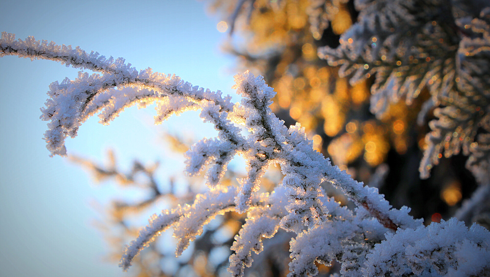 Valokuvaaja: sirpa Jyske