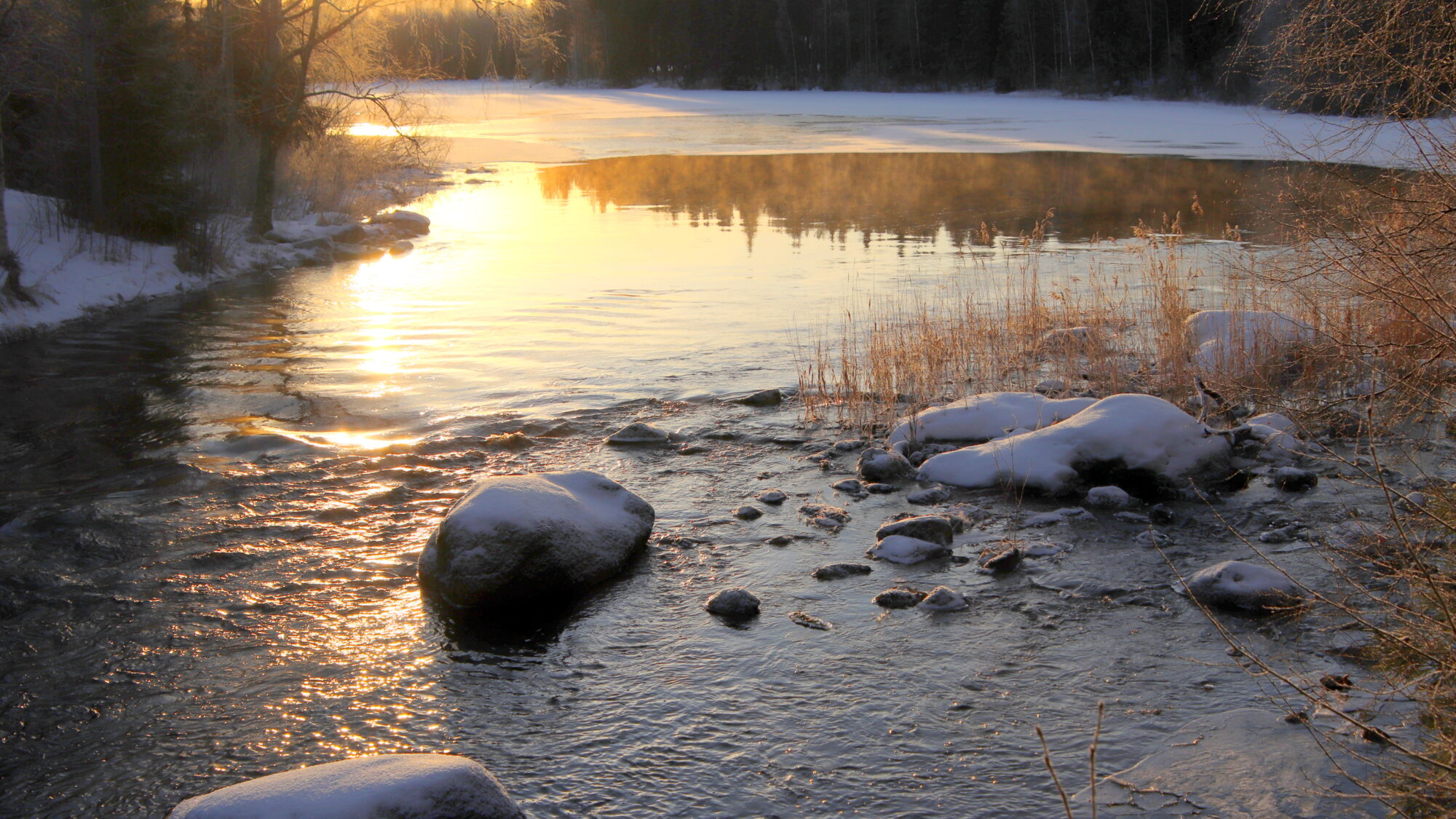 Valokuvaaja: sirpa Jyske