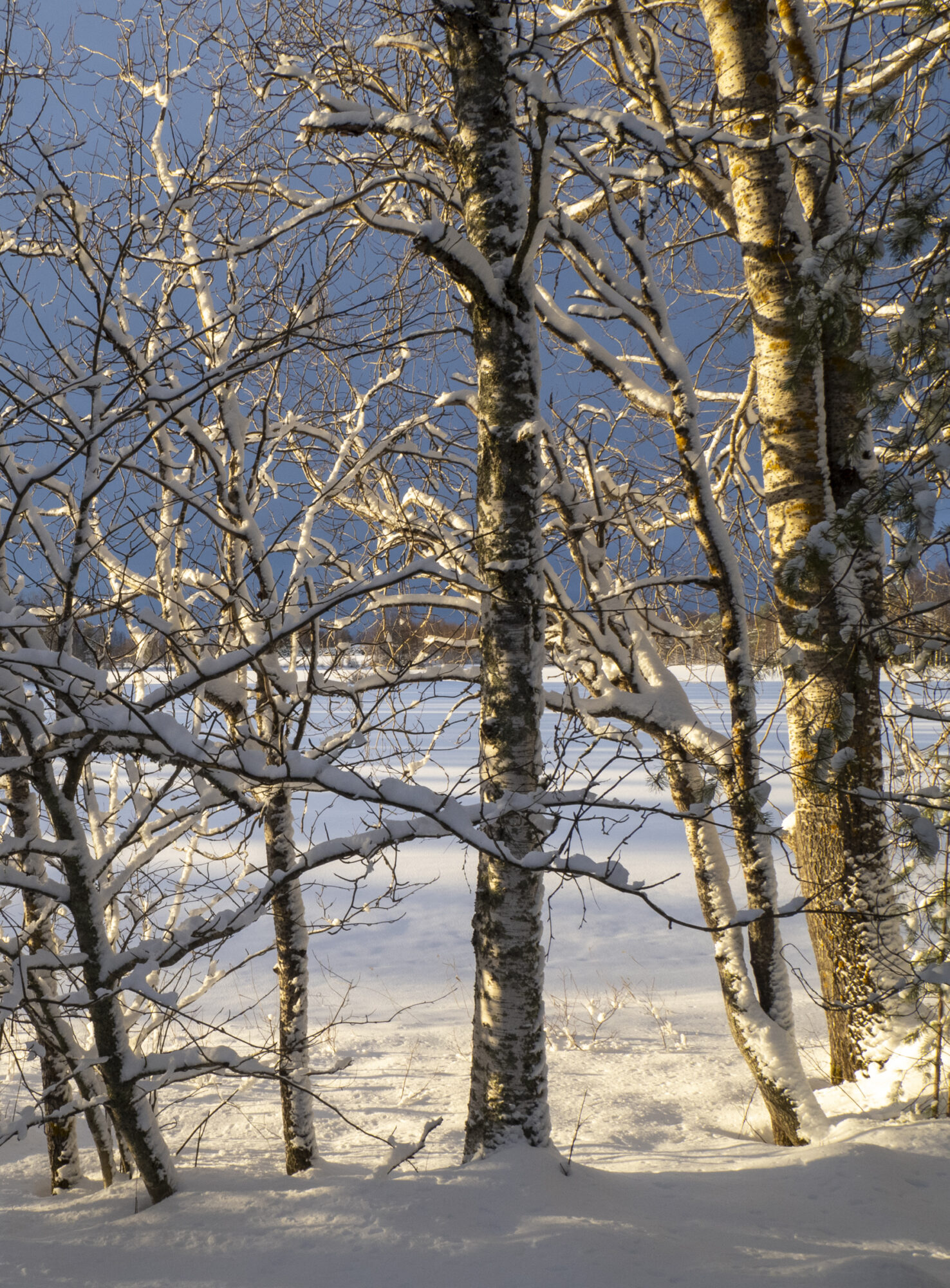 Valokuvaaja: Hannu Tikkanen Valokuvaaja: Hannu Tikkanen