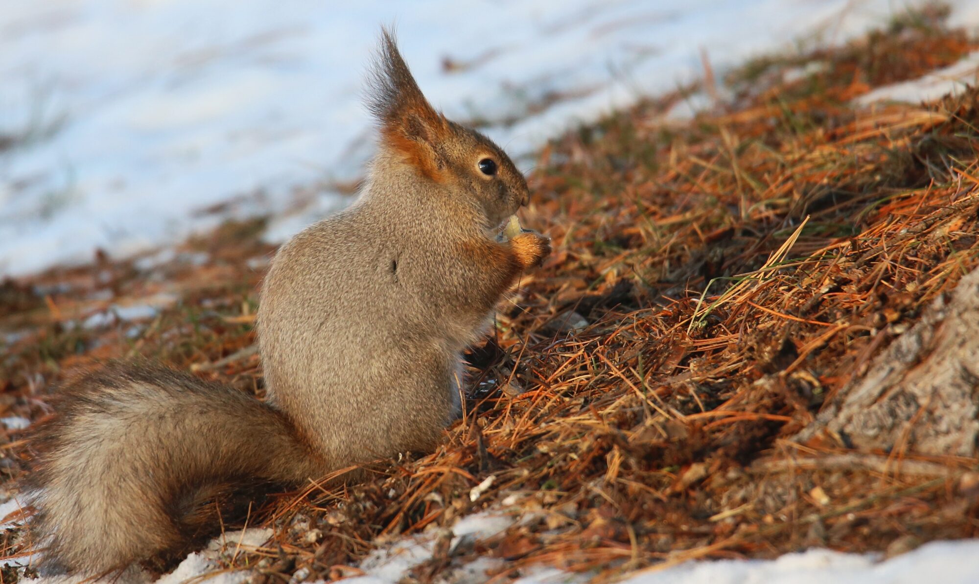 Valokuvaaja: Jaana Saarelainen