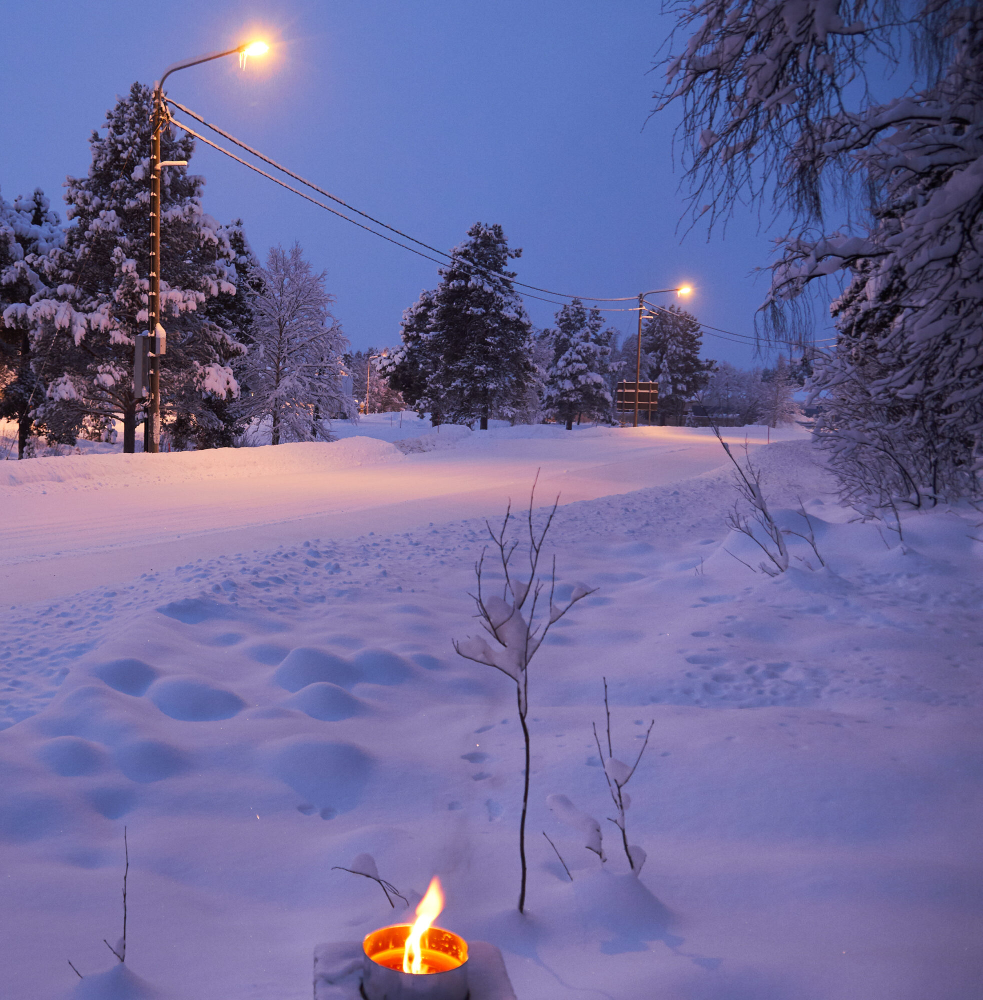 Valokuvaaja: Tarja Kouvo Valokuvaaja: Tarja Kouvo